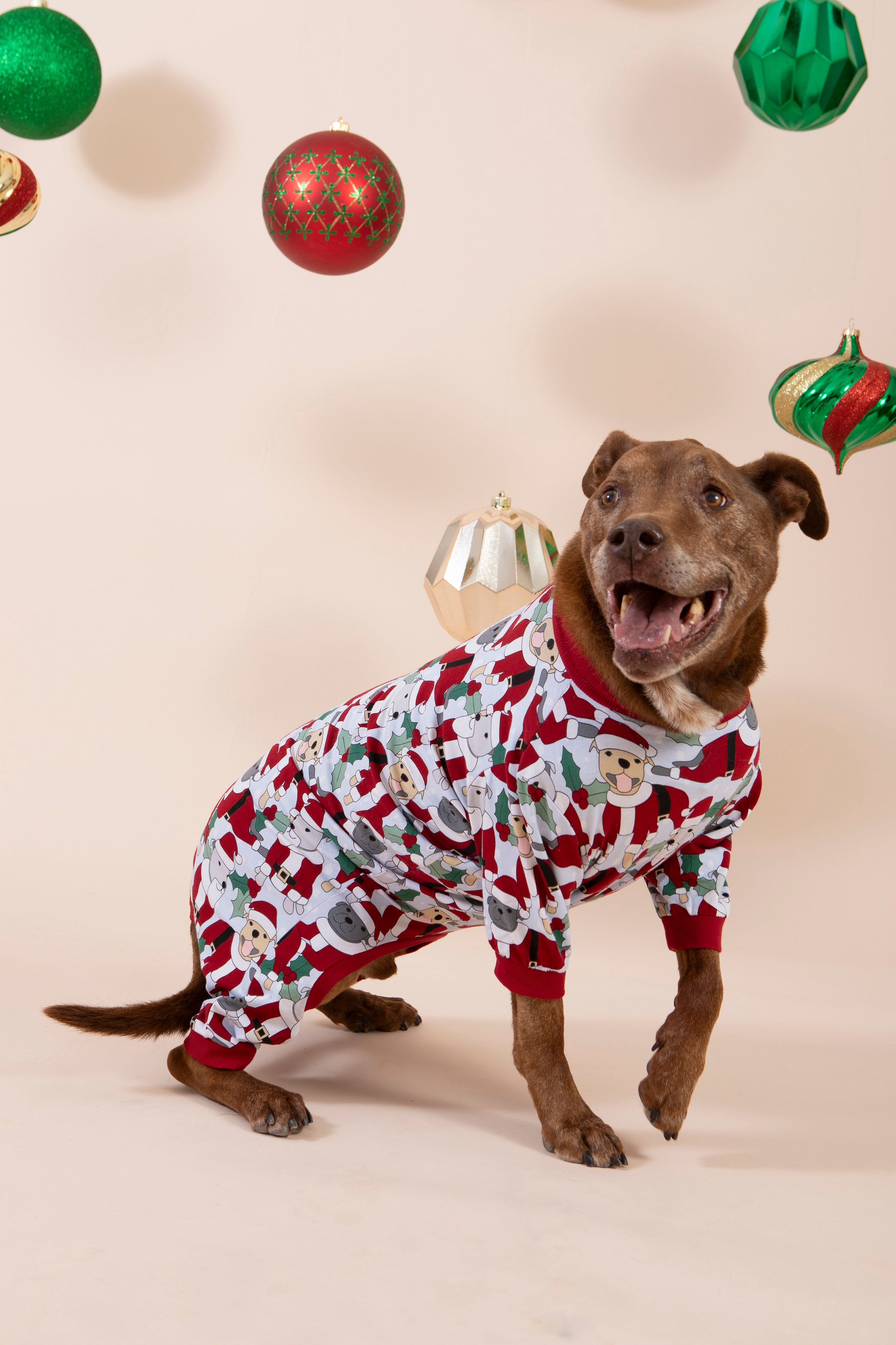 Santa Paws Dog Pyjamas