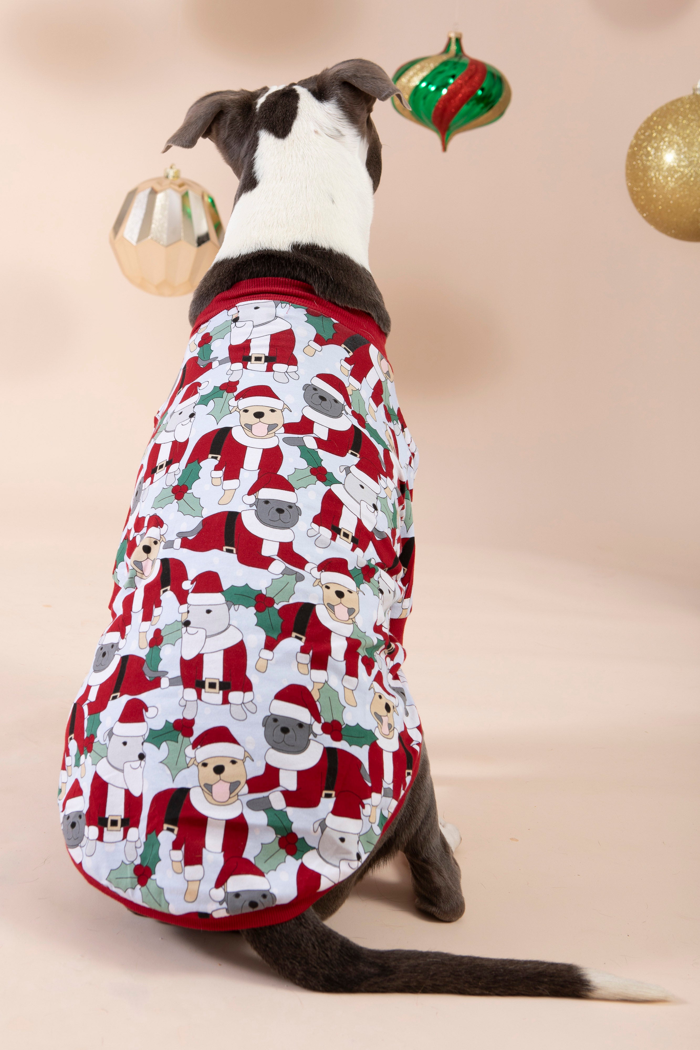 Dog Tee | Santa Paws