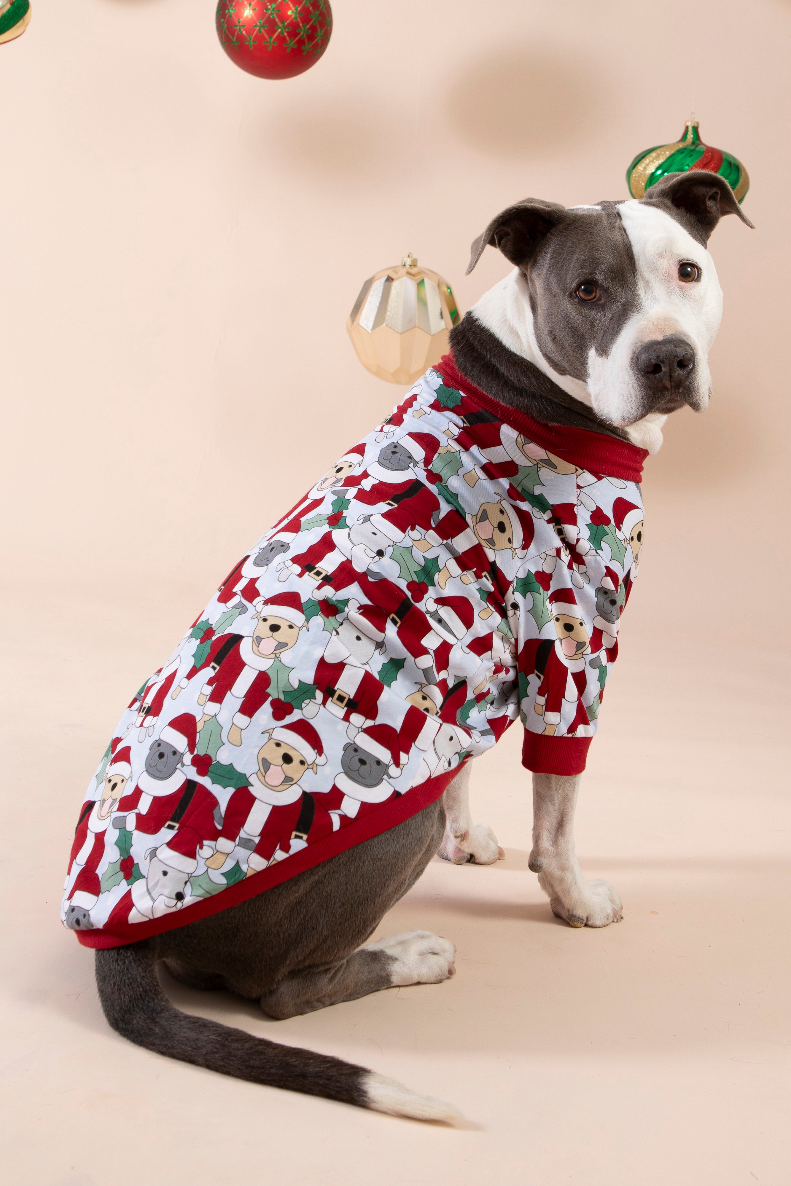 Dog Tee | Santa Paws