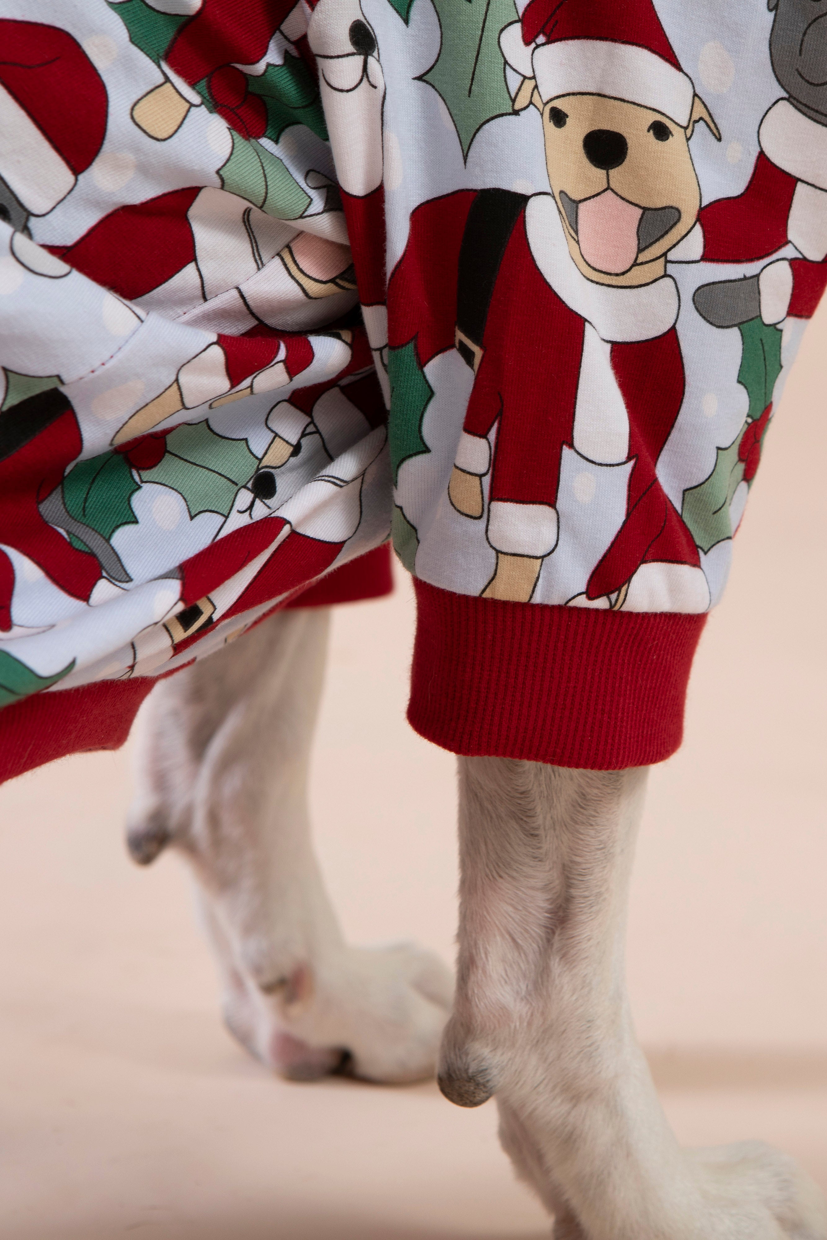 Dog Tee | Santa Paws