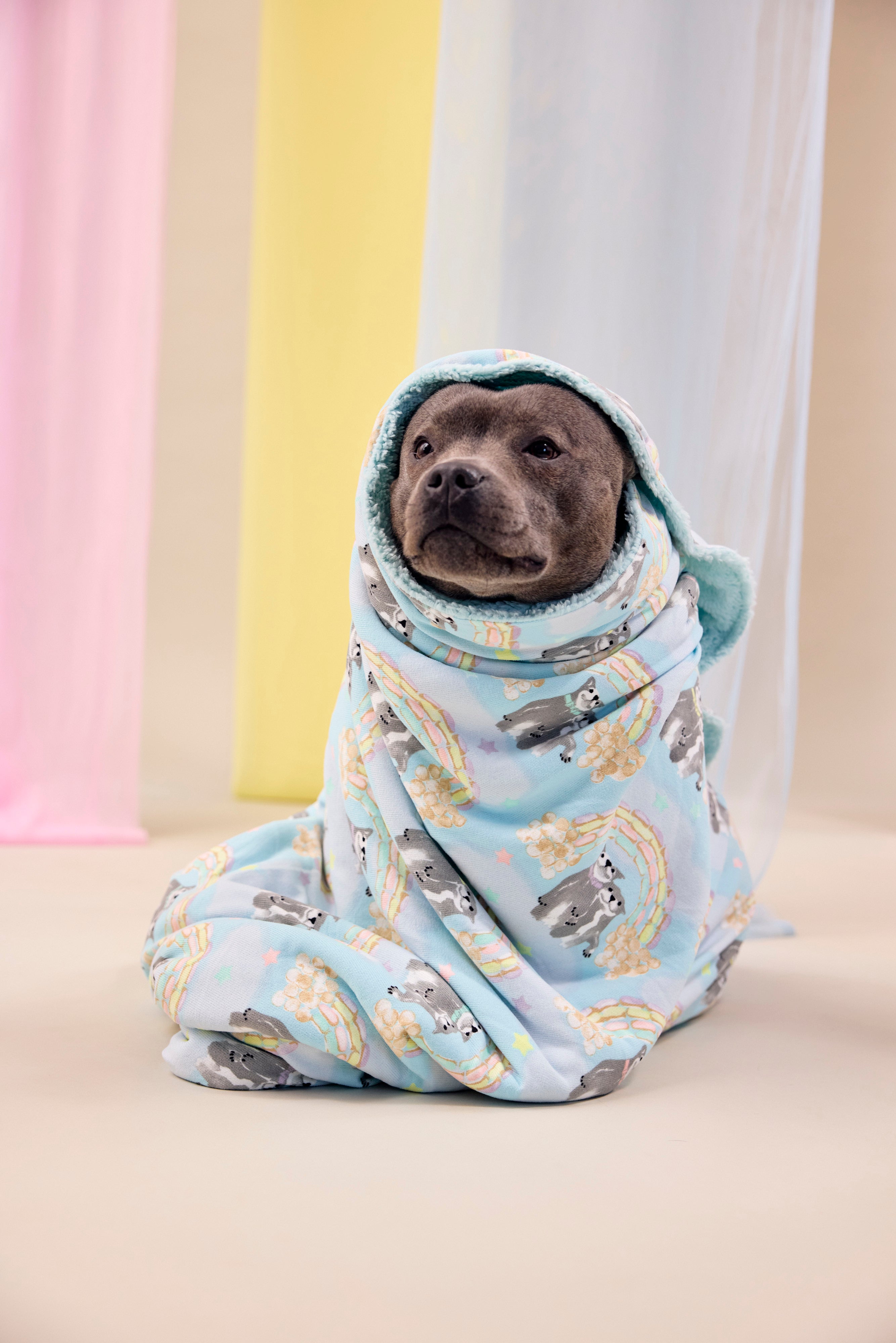 Dog Blanket | Sweet Rainbow Dreams