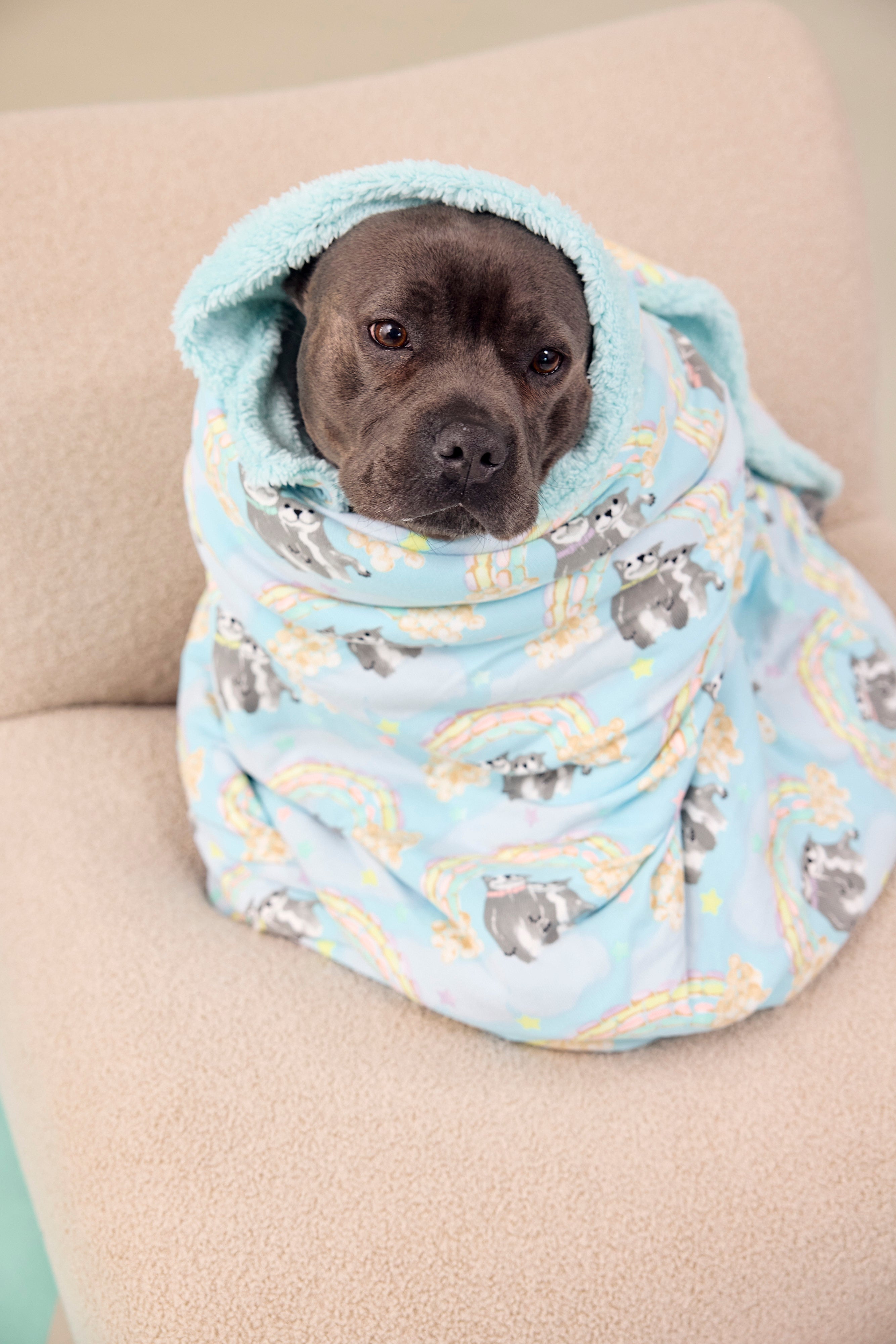 Dog Blanket | Sweet Rainbow Dreams