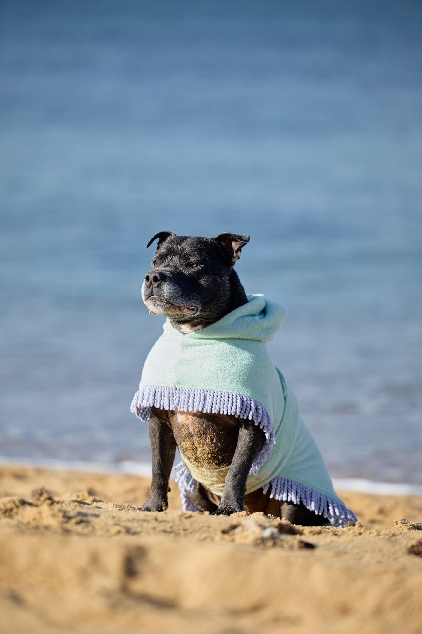 Tassel Towel Dog Robe | Minty Green