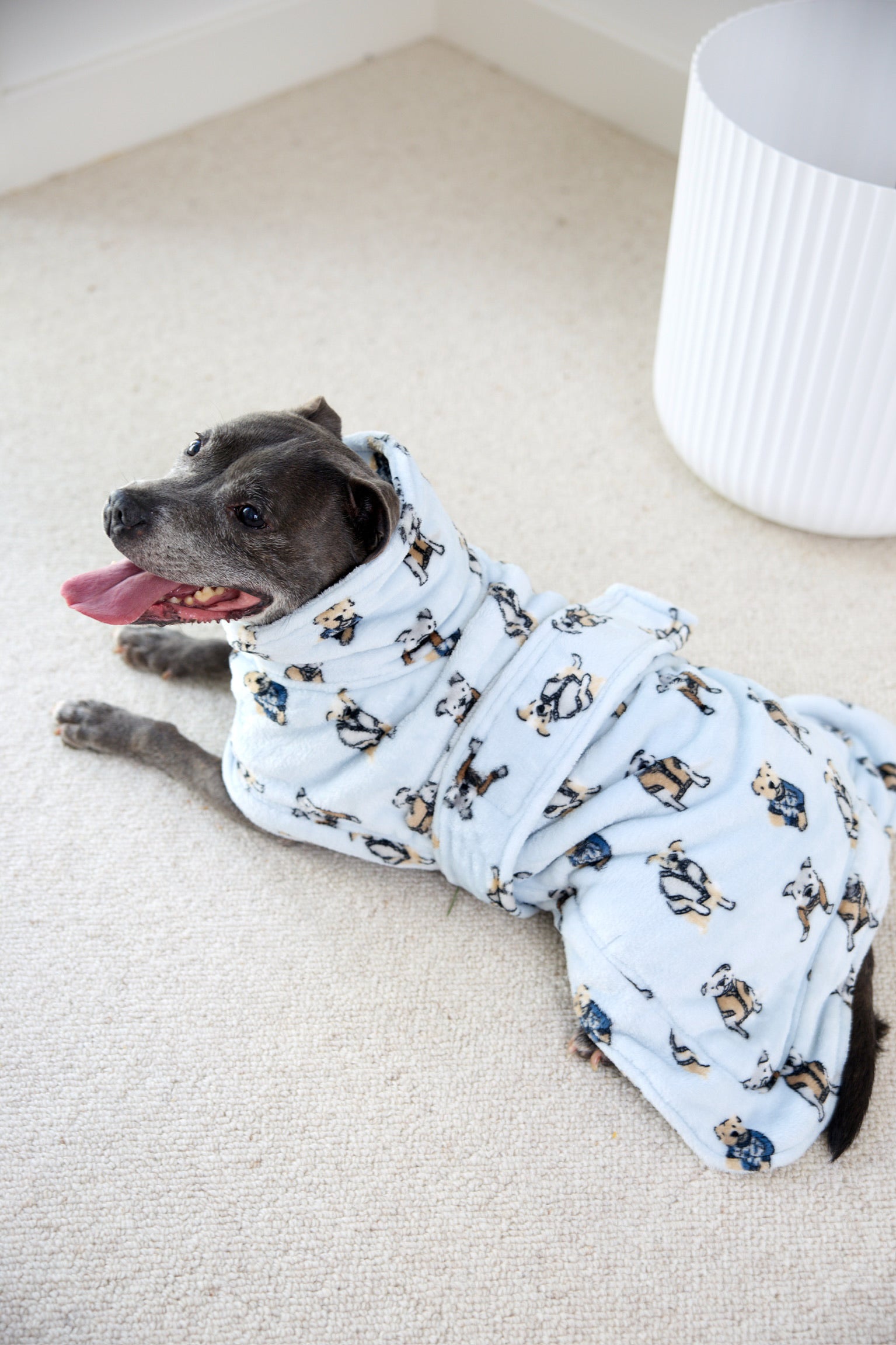 Dog Lounge Robe | Preppy Pups