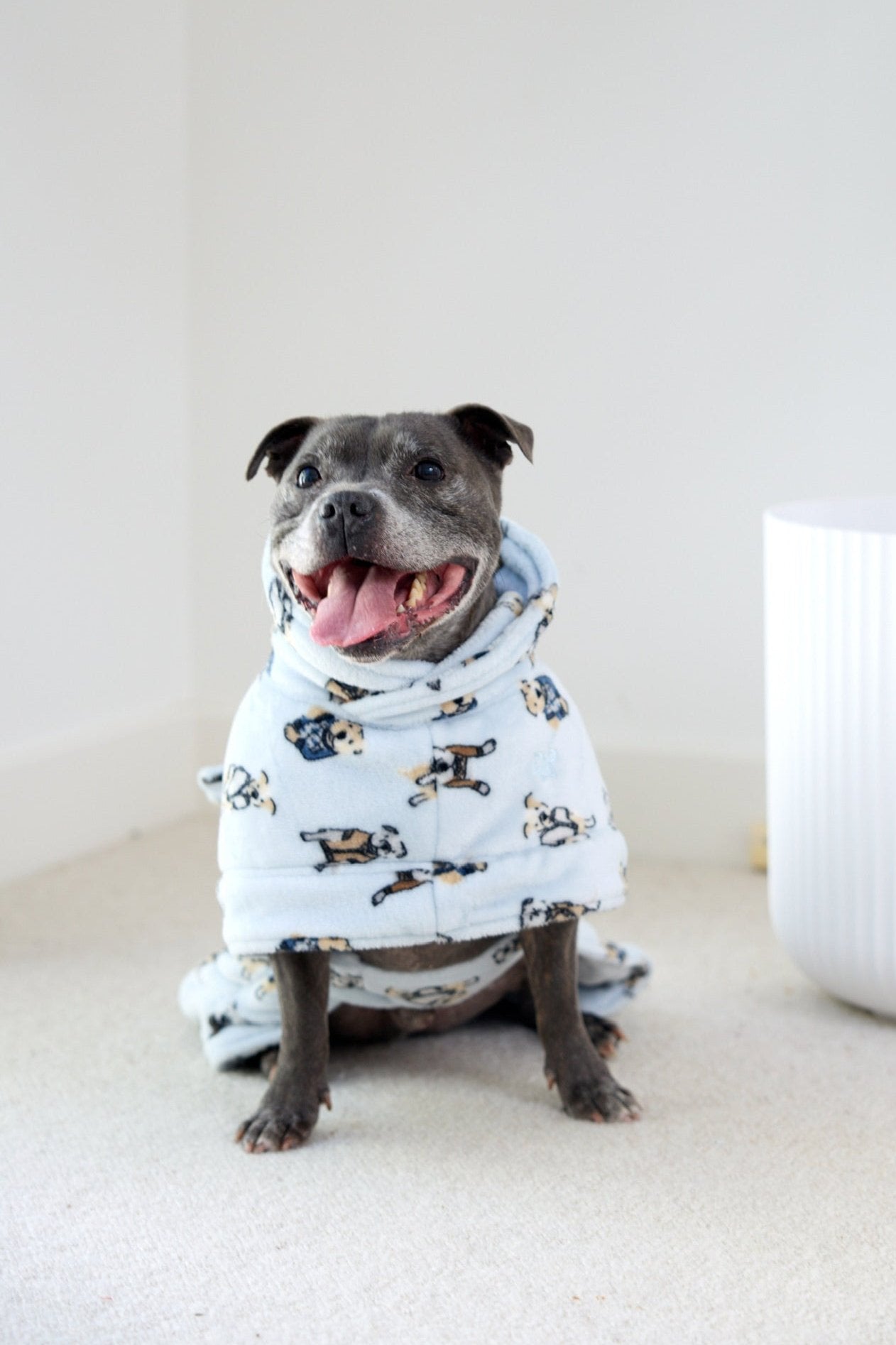 Dog Lounge Robe | Preppy Pups