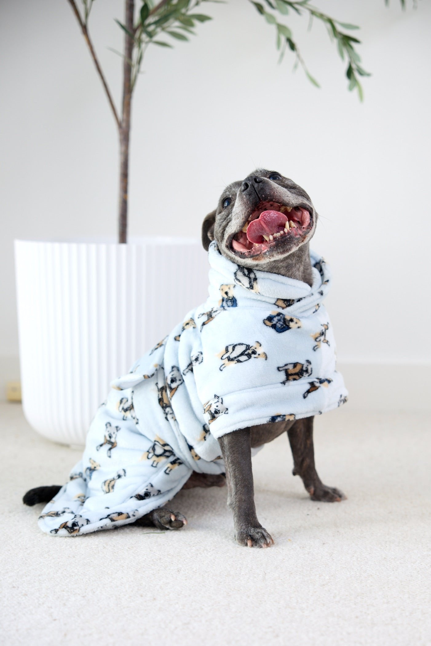 Dog Lounge Robe | Preppy Pups