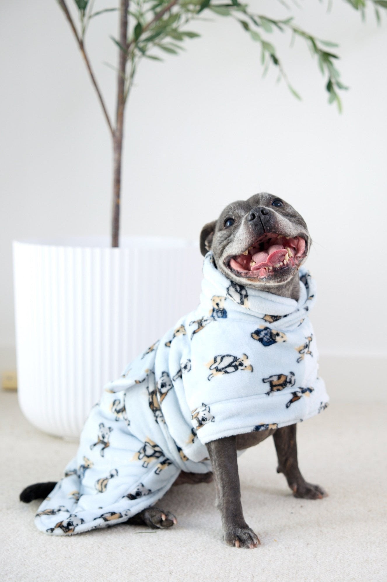 Dog Lounge Robe | Preppy Pups