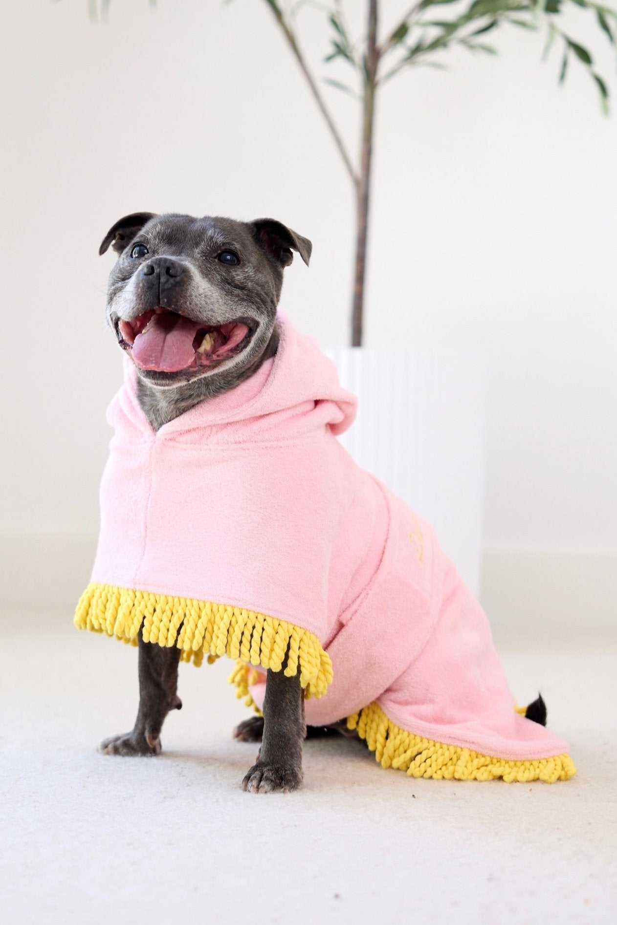 Tassel Towel Dog Robe | Peachy Pink