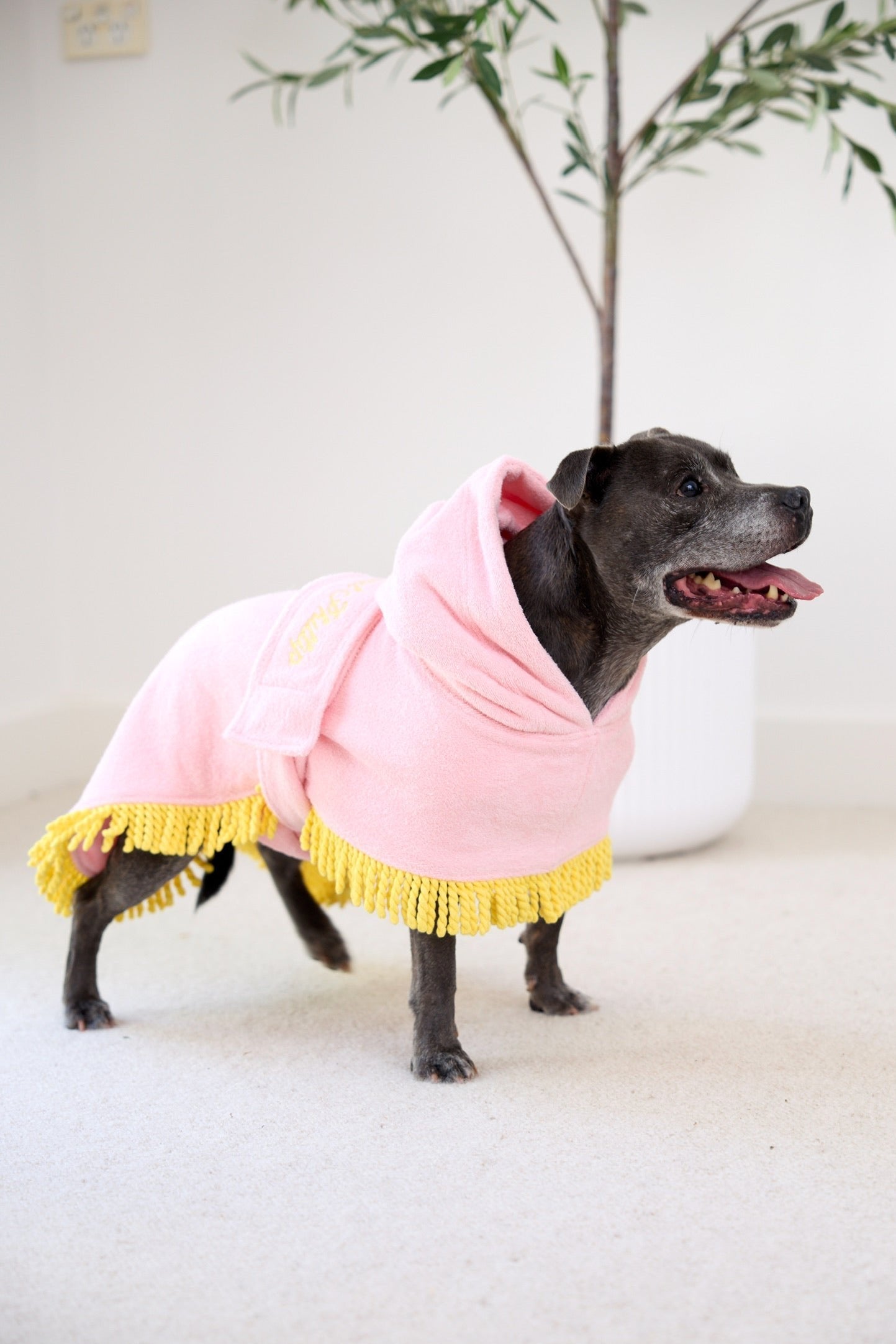 Tassel Towel Dog Robe | Peachy Pink