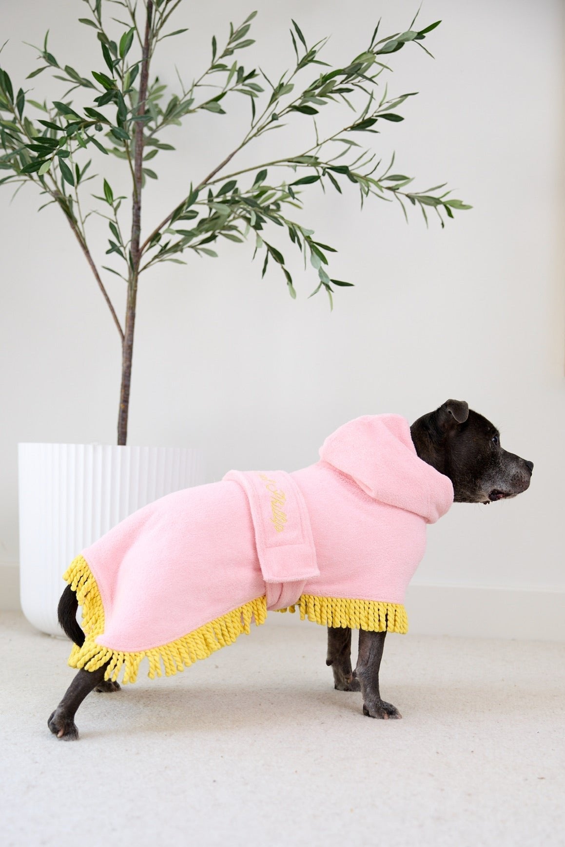 Tassel Towel Dog Robe | Peachy Pink