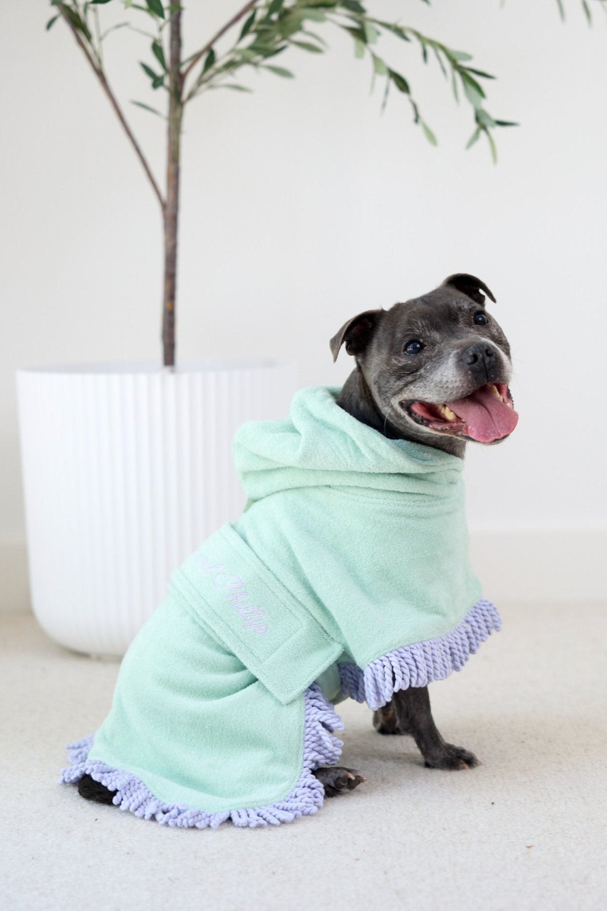 Tassel Towel Dog Robe | Minty Green