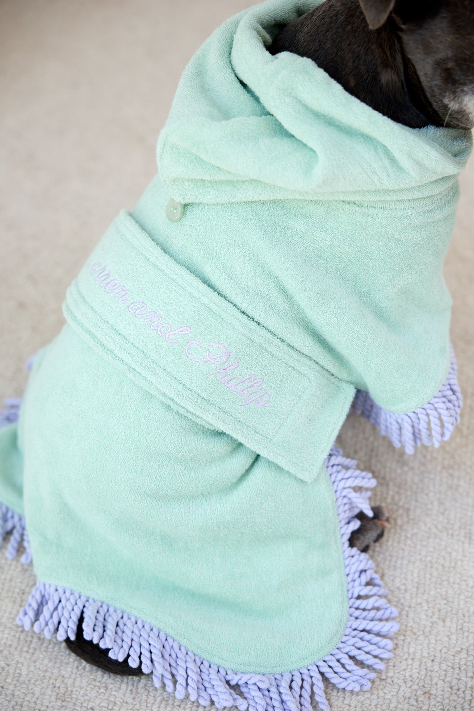 Tassel Towel Dog Robe | Minty Green