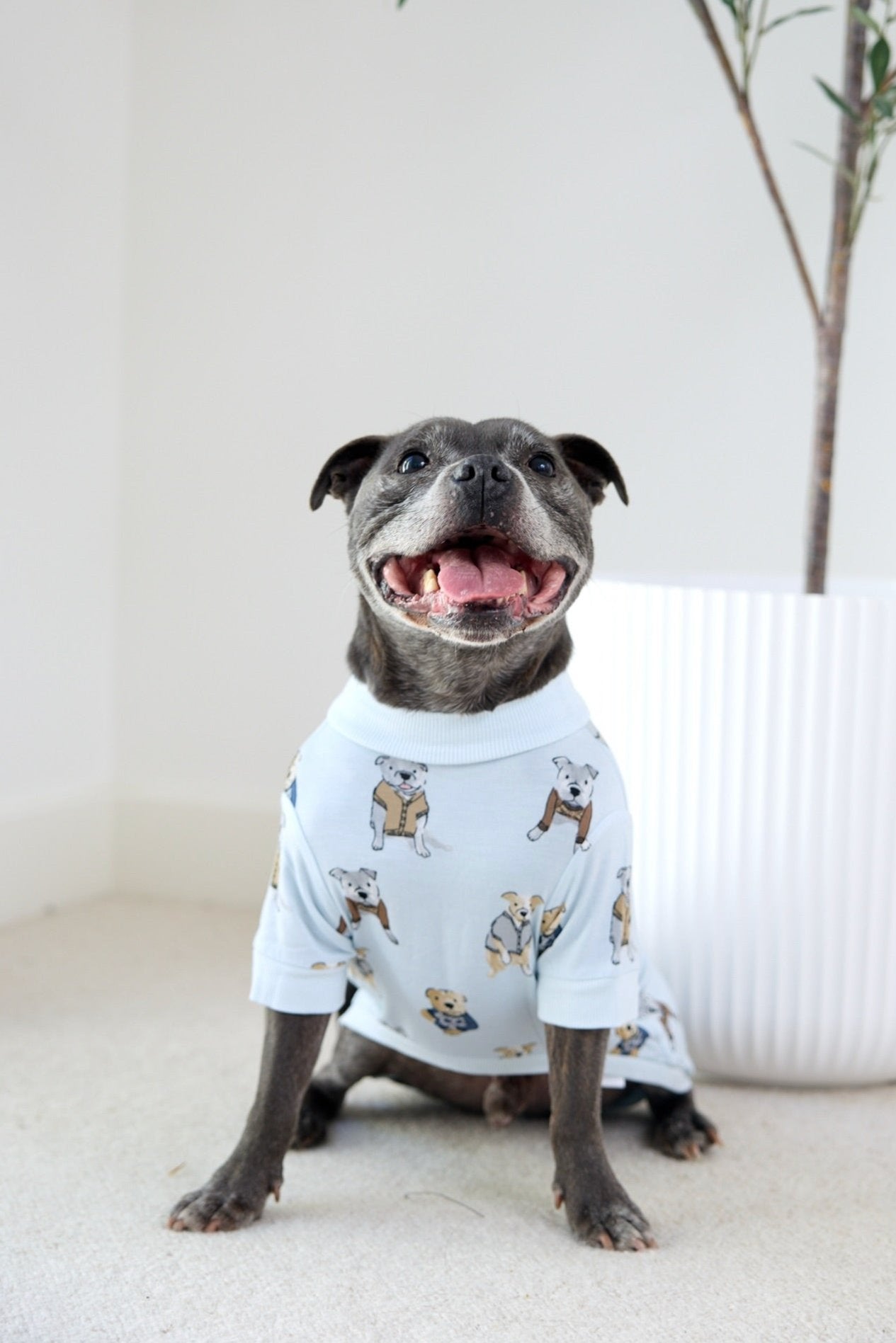 Dog Tee | Preppy Pups