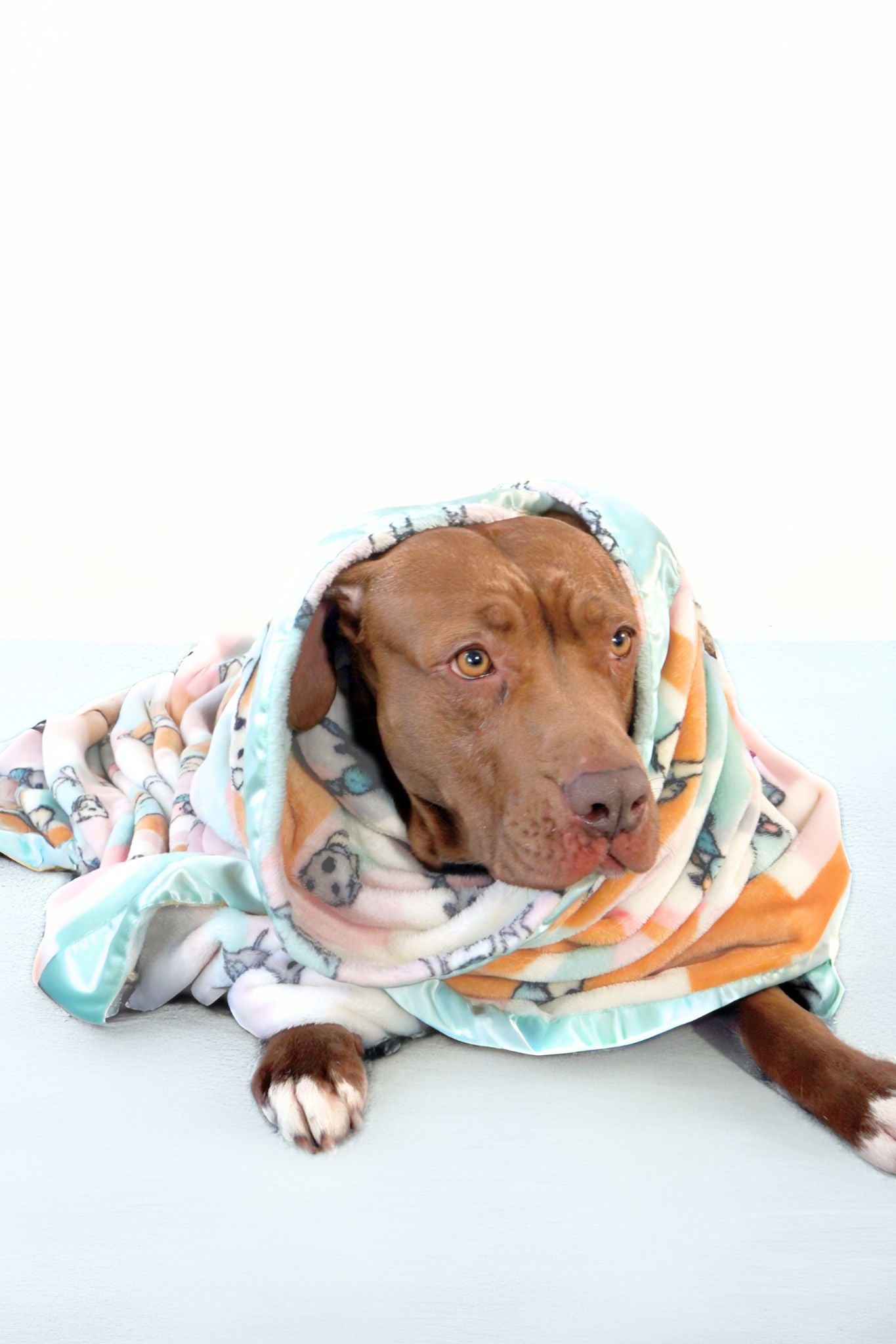 Dog Blanket | Rescue Ranch