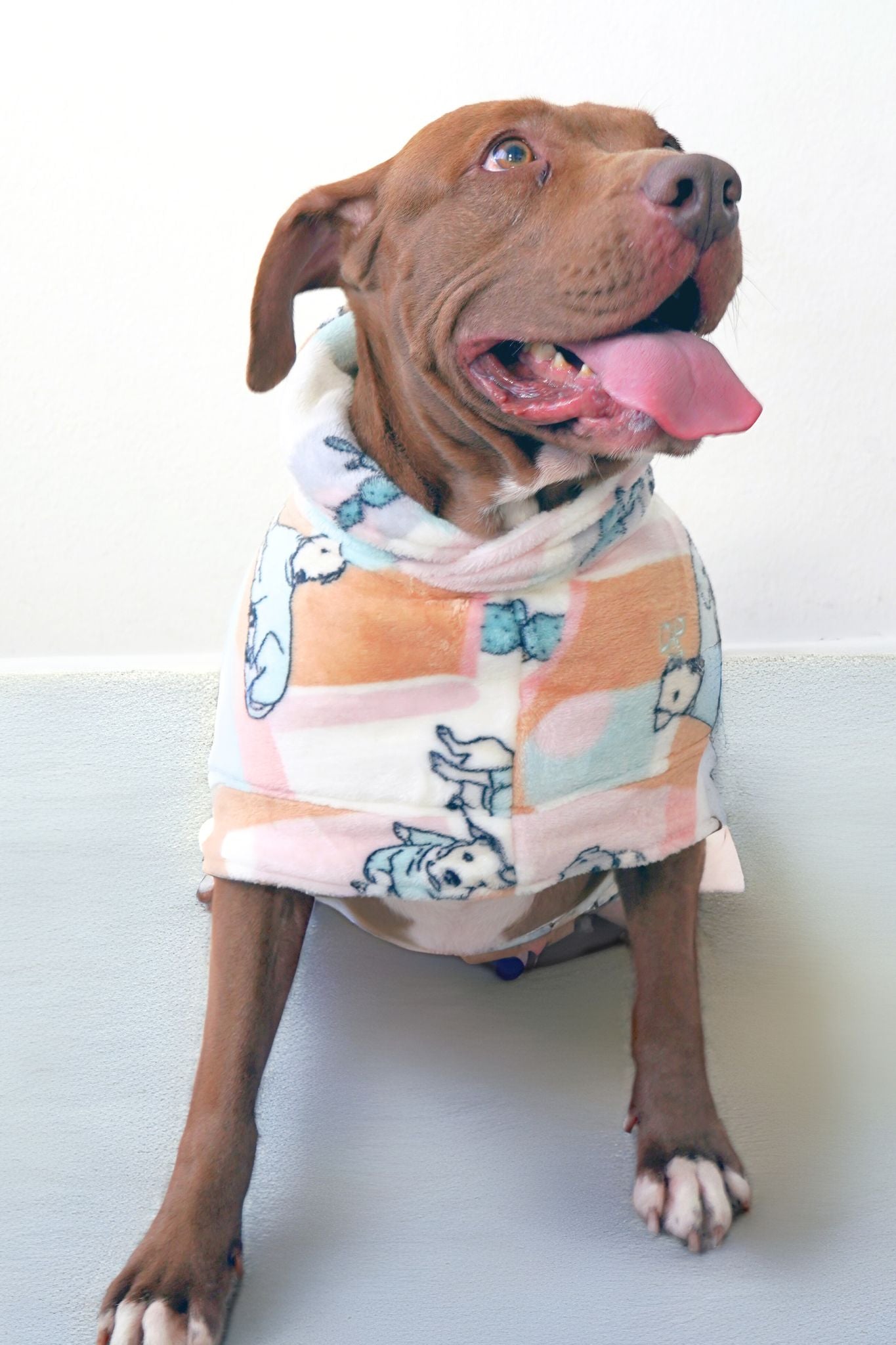 Dog Lounge Robe | Rescue Ranch
