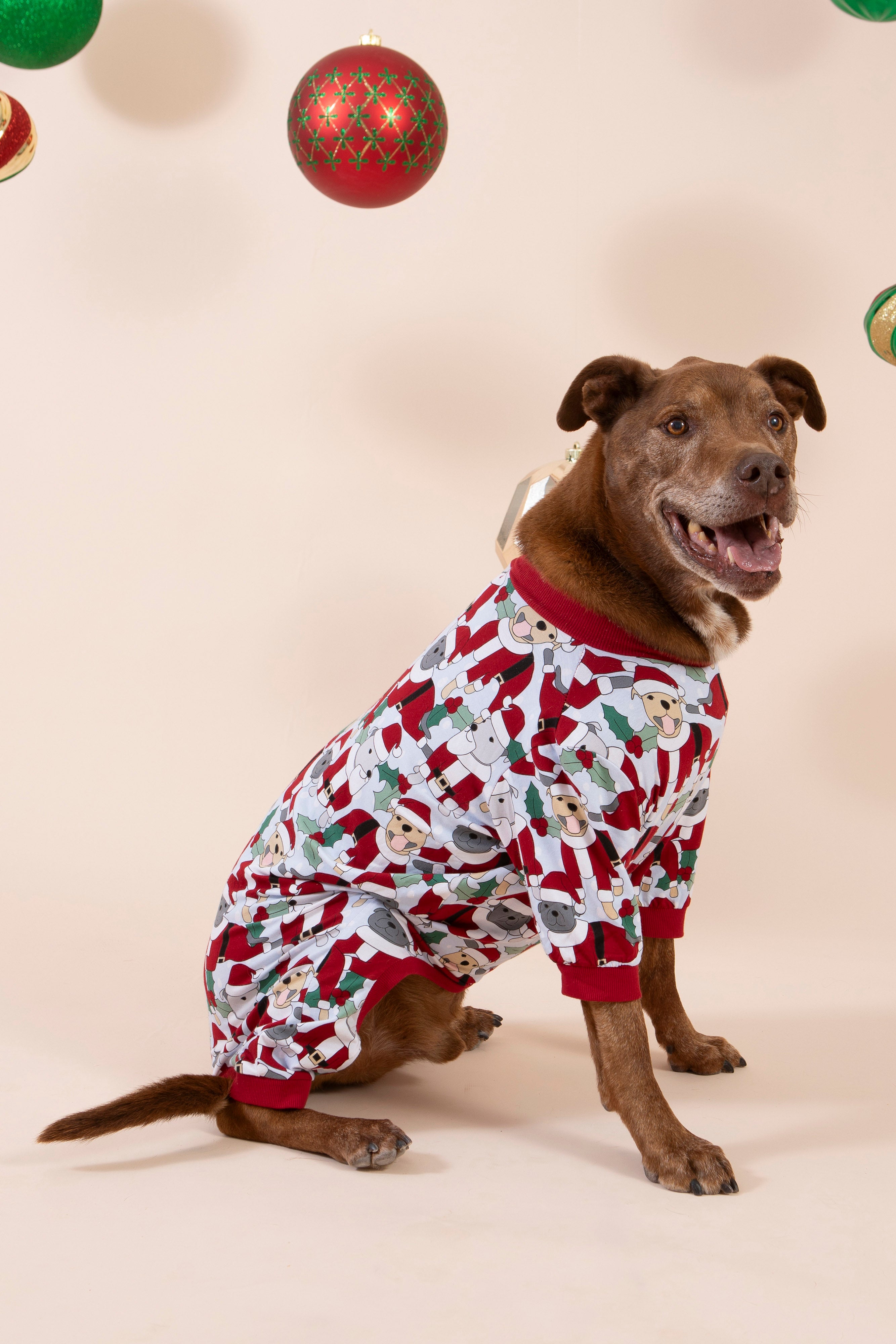 Santa Paws Dog Pyjamas