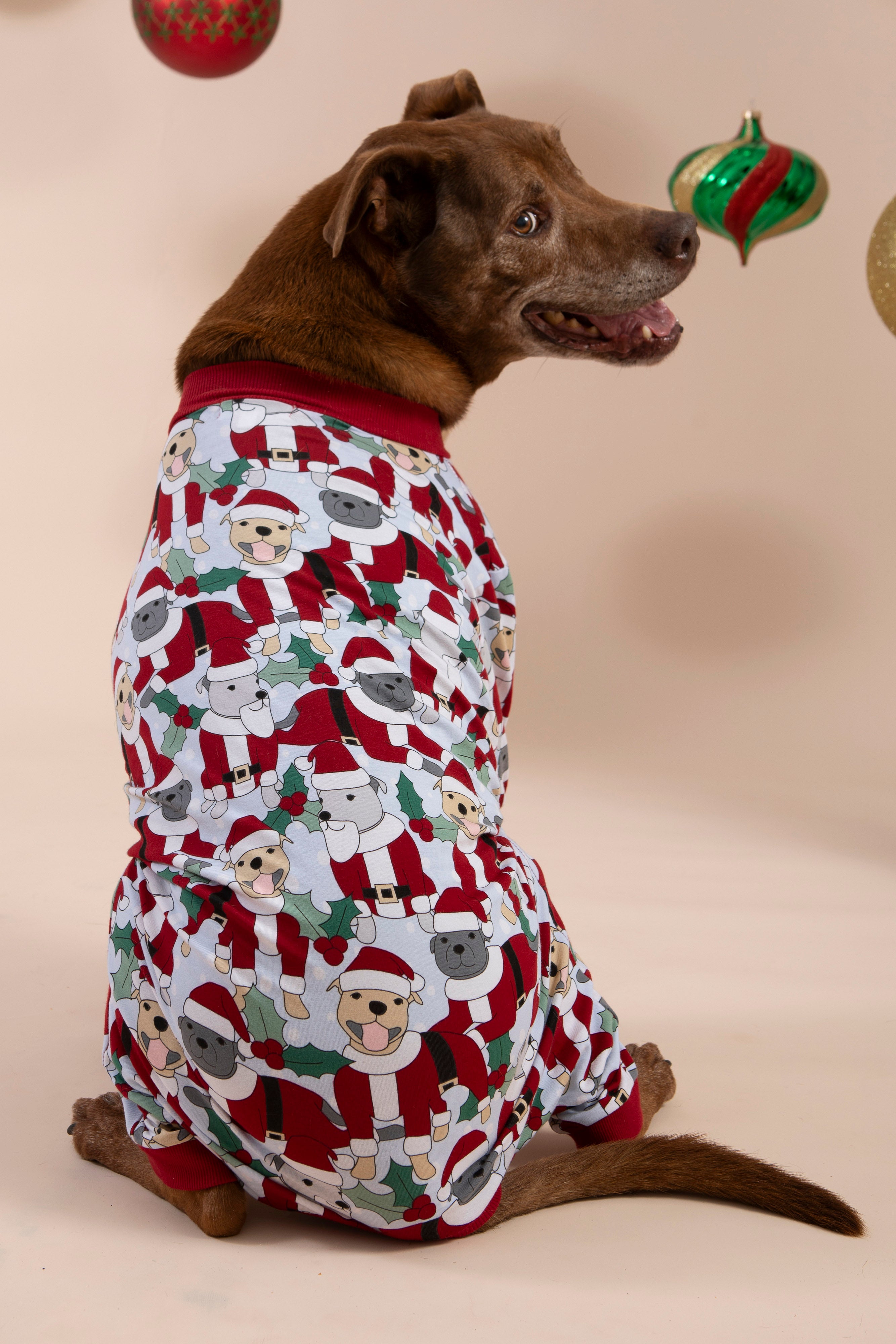 Santa Paws Dog Pyjamas