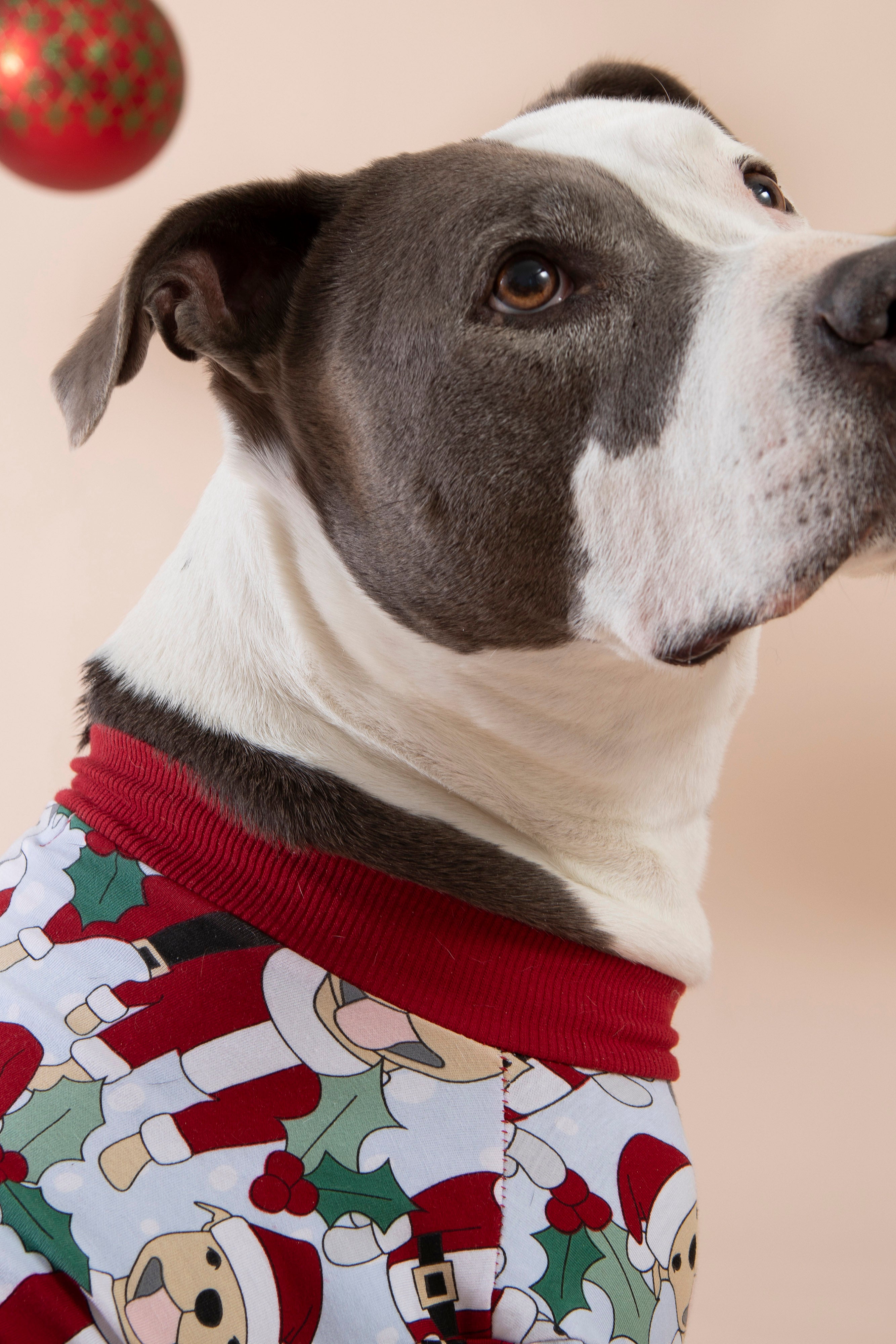 Dog Tee | Santa Paws