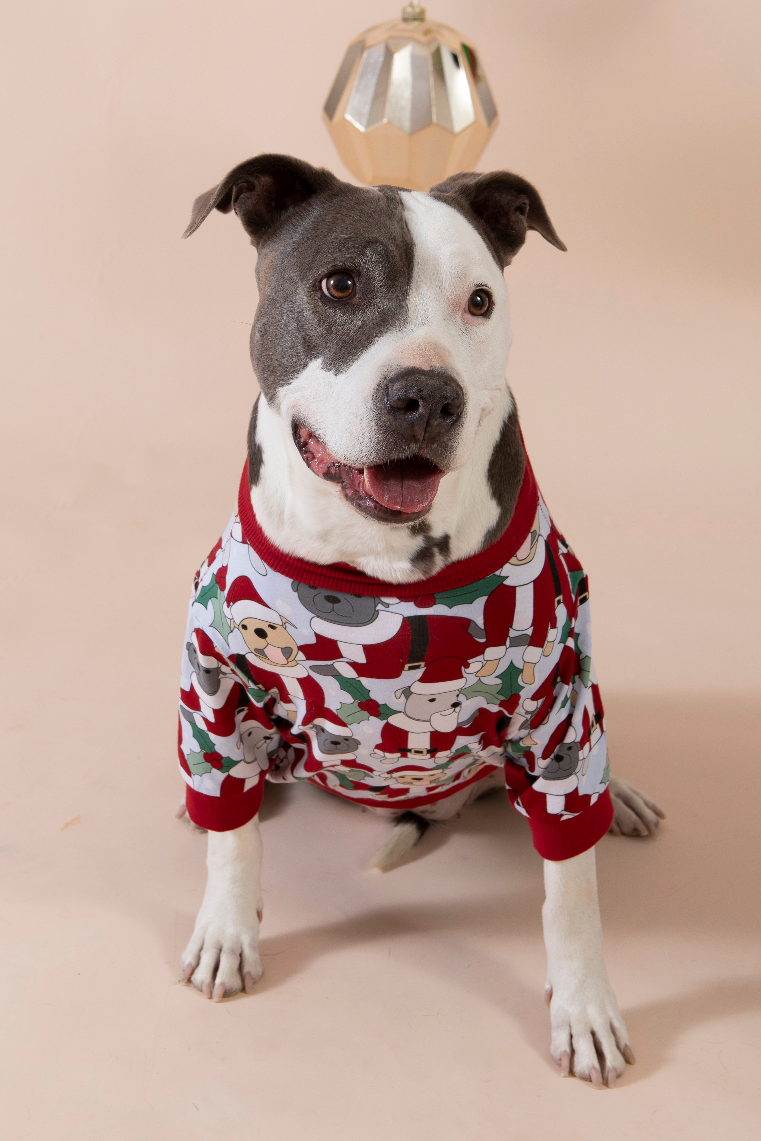 Dog Tee | Santa Paws