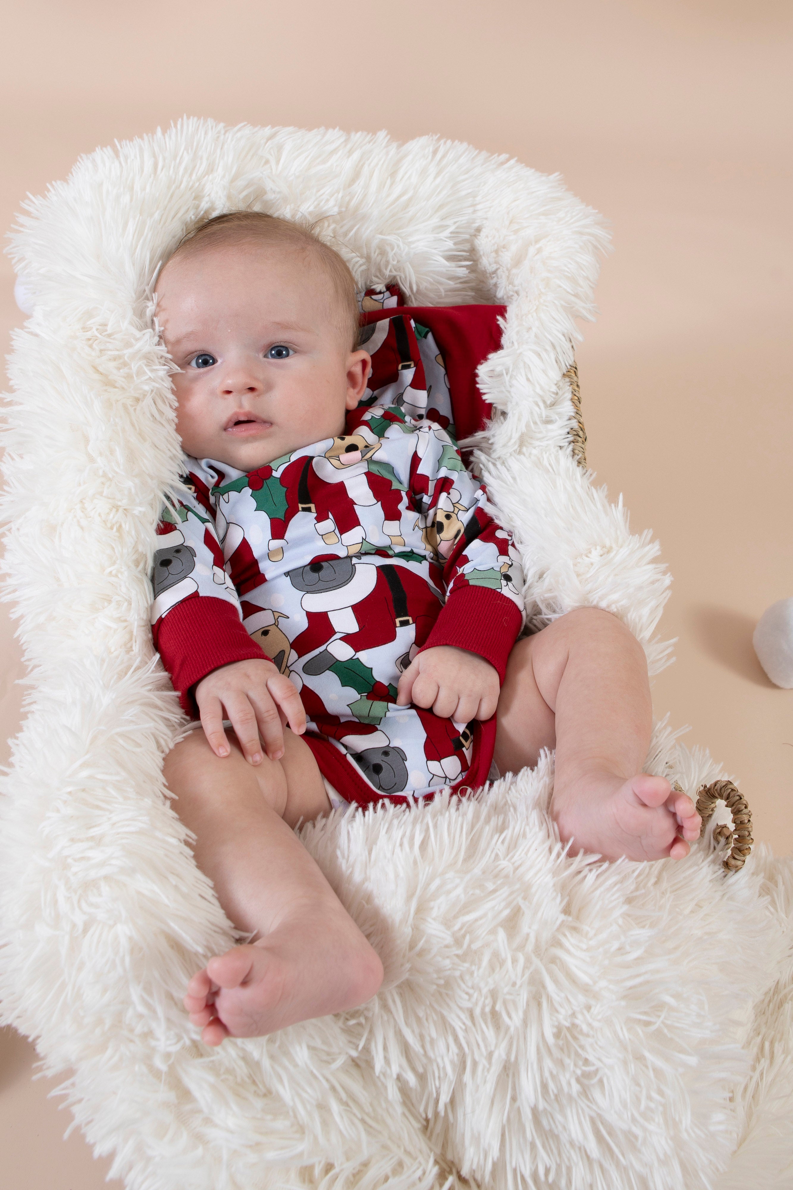 Baby Onesie | Santa Paws