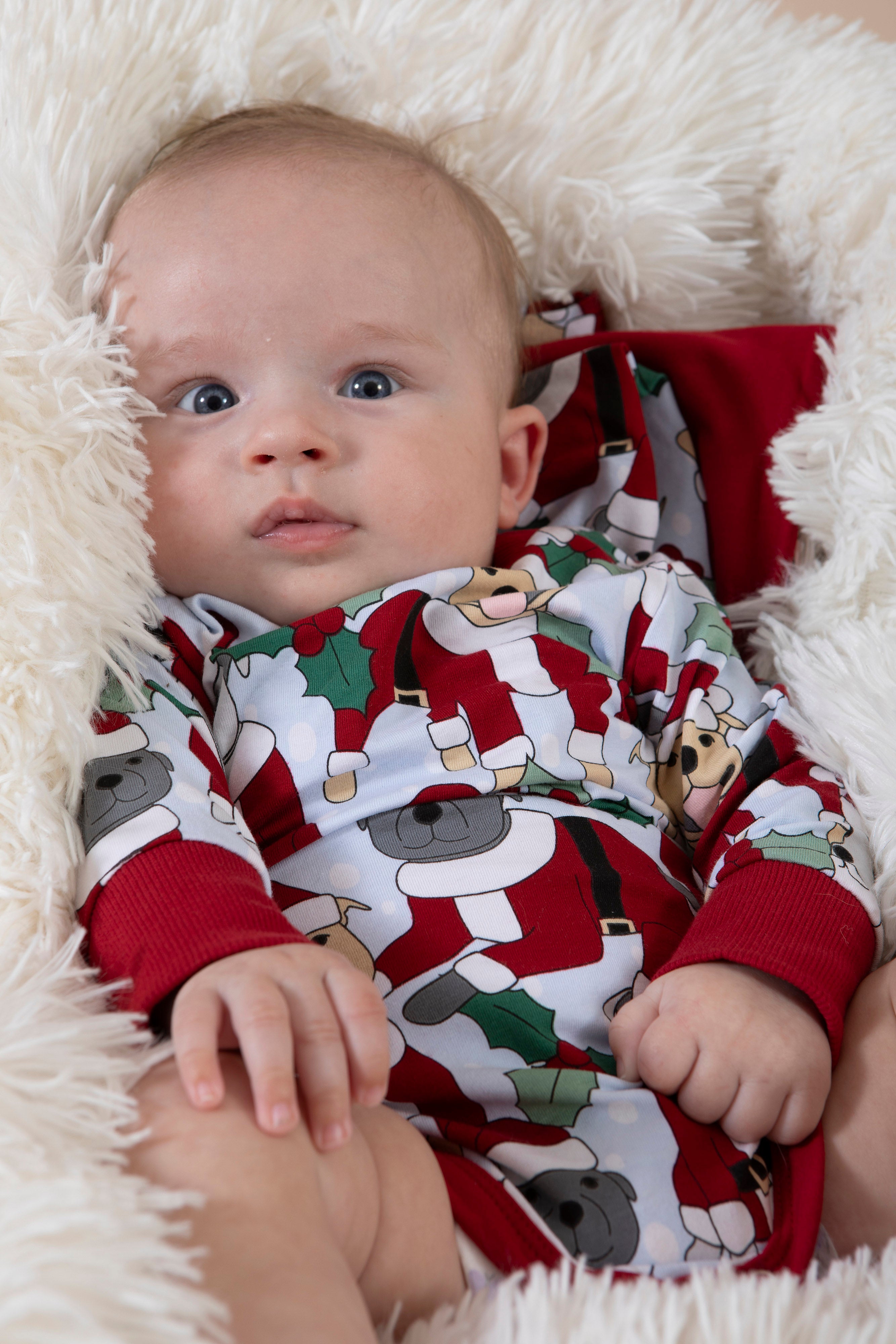 Baby Onesie | Santa Paws