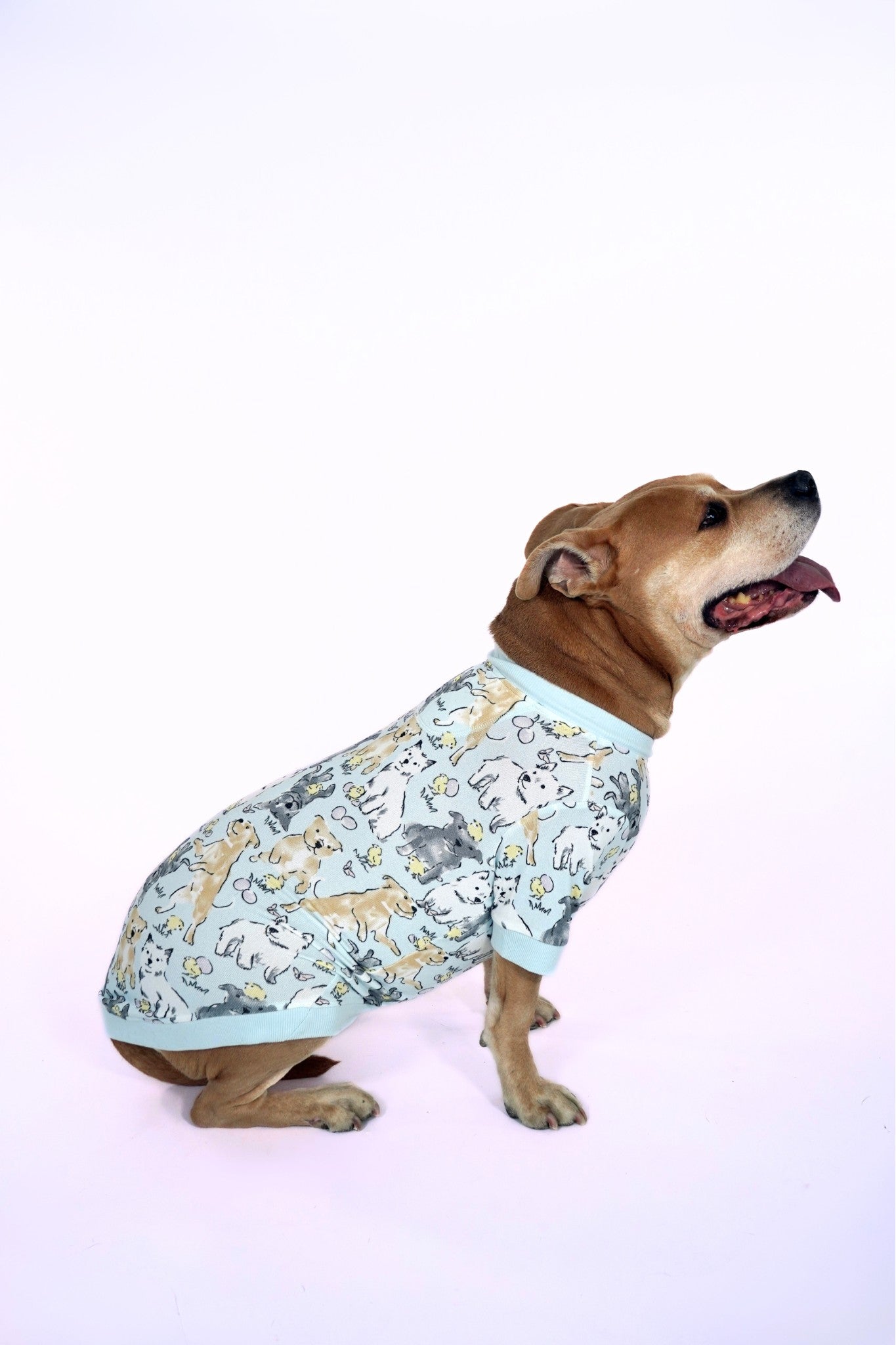 Dog Tee | Easter Play Date