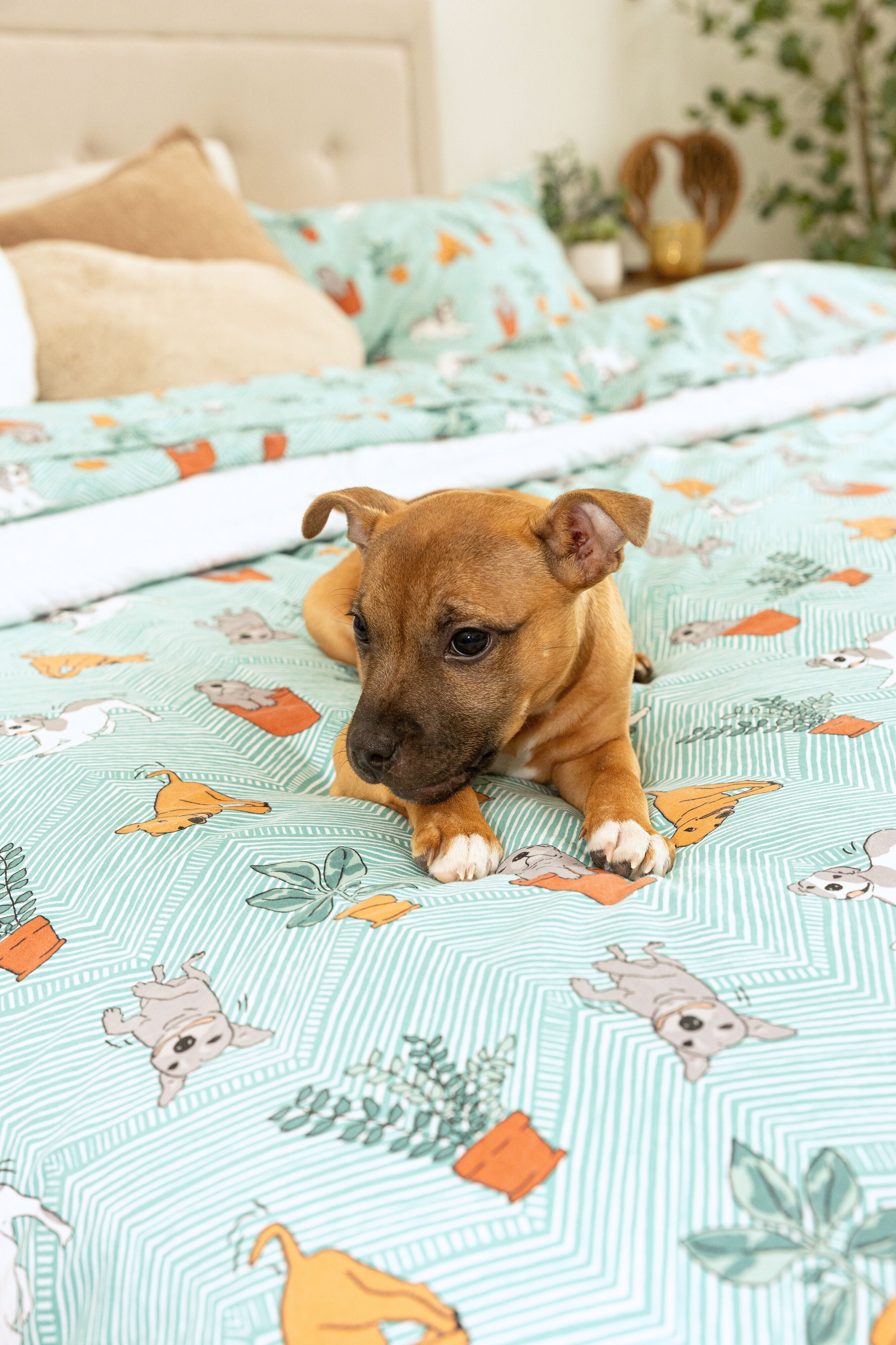 Duvet Cover Set | Playful Pups & Plants