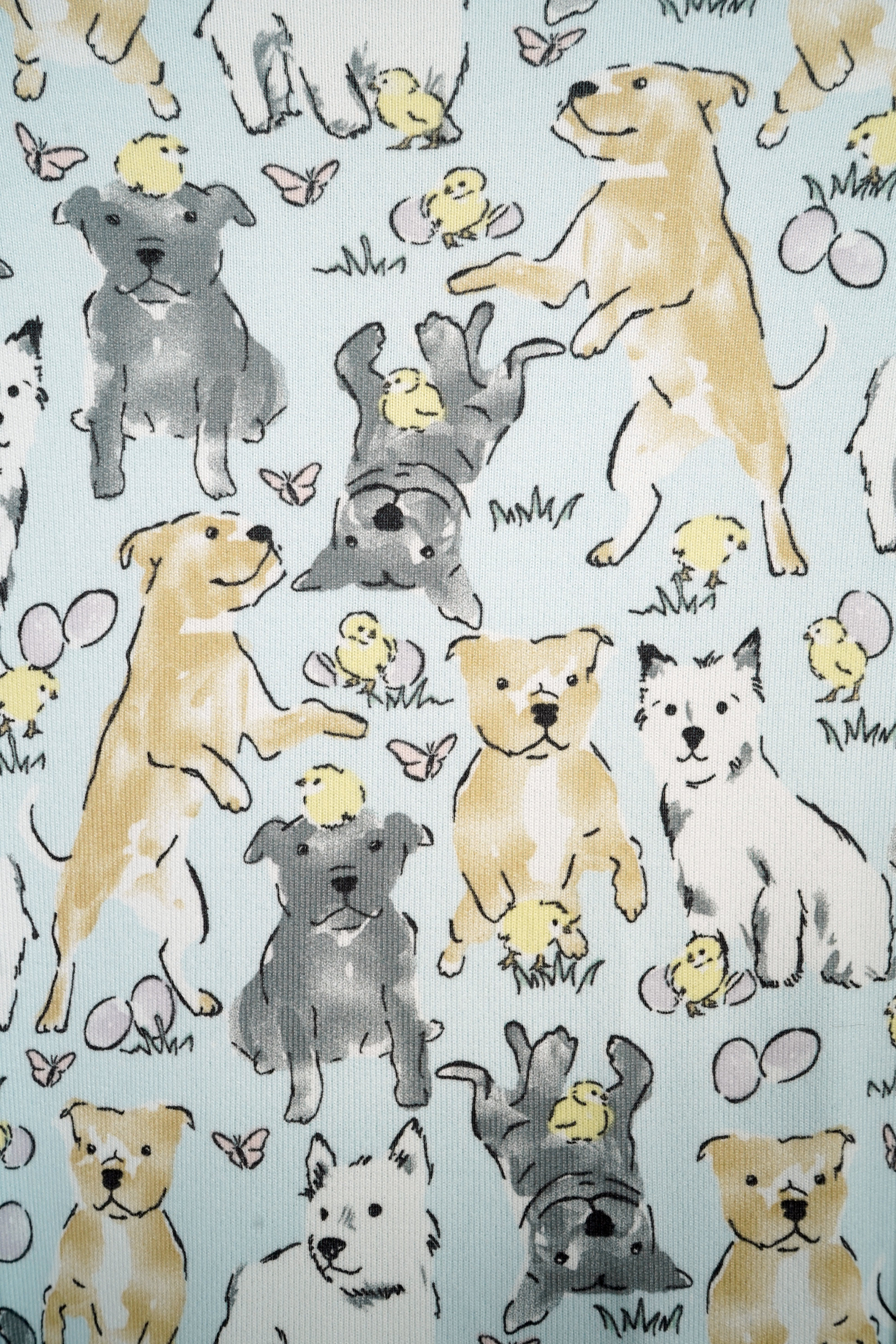 Dog Blanket | Easter Play Date