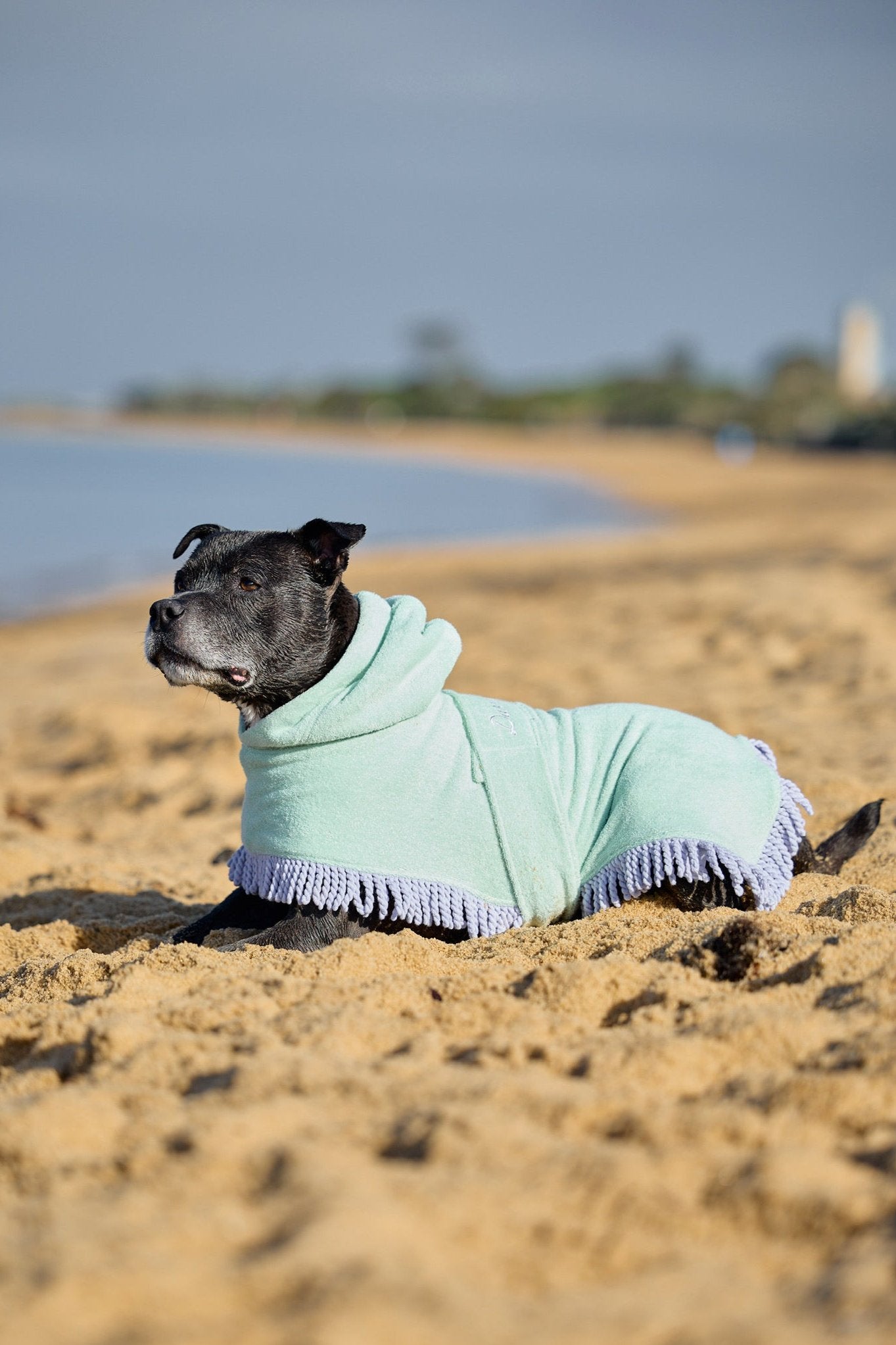 Tassel Towel Dog Robe | Minty Green