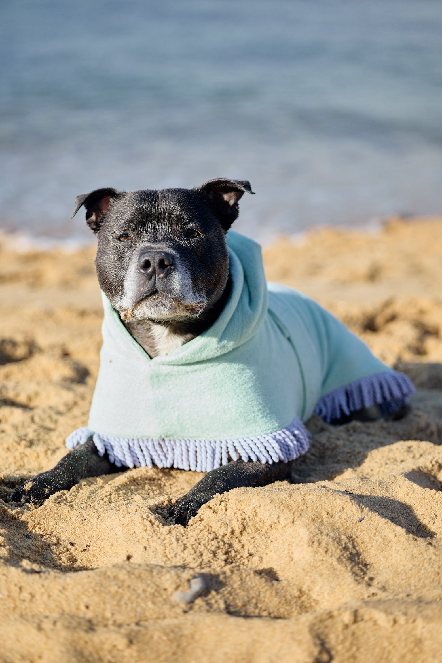 Tassel Towel Dog Robe | Minty Green
