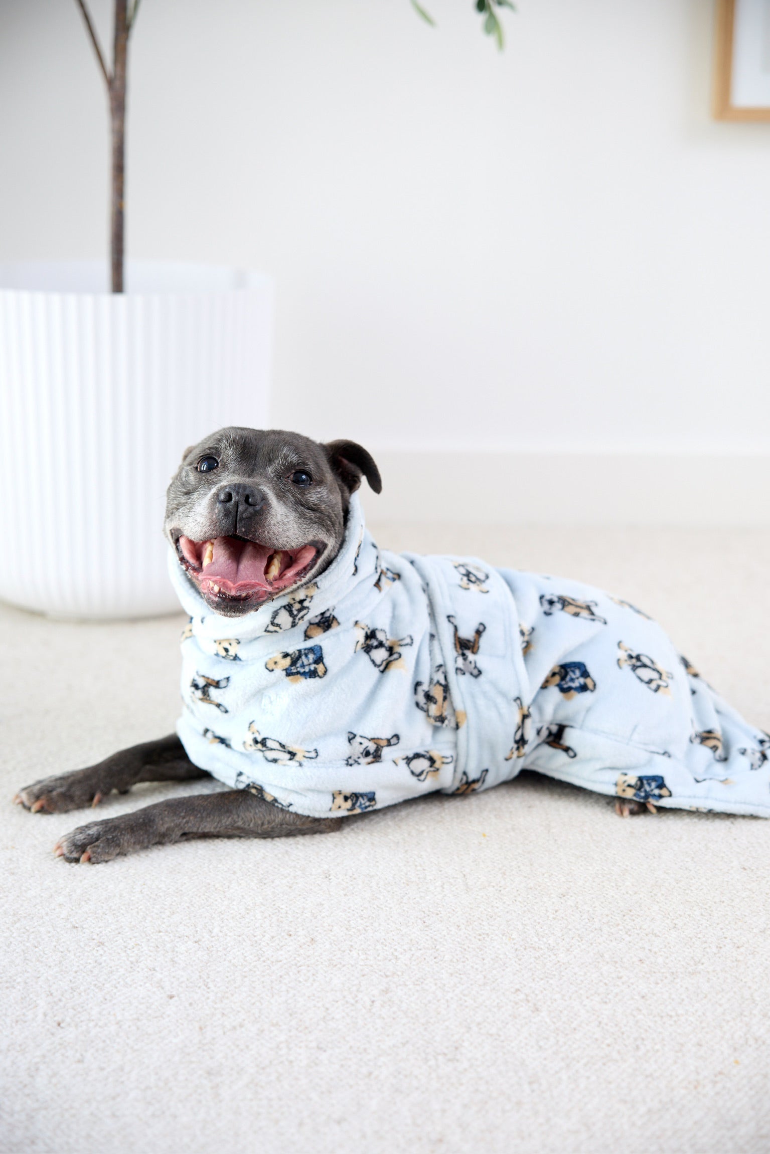 Match Your Dog - Robe Bundle | Preppy Pups