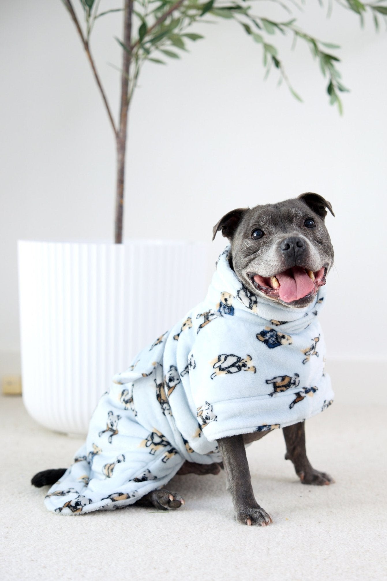 Dog Lounge Robe | Preppy Pups