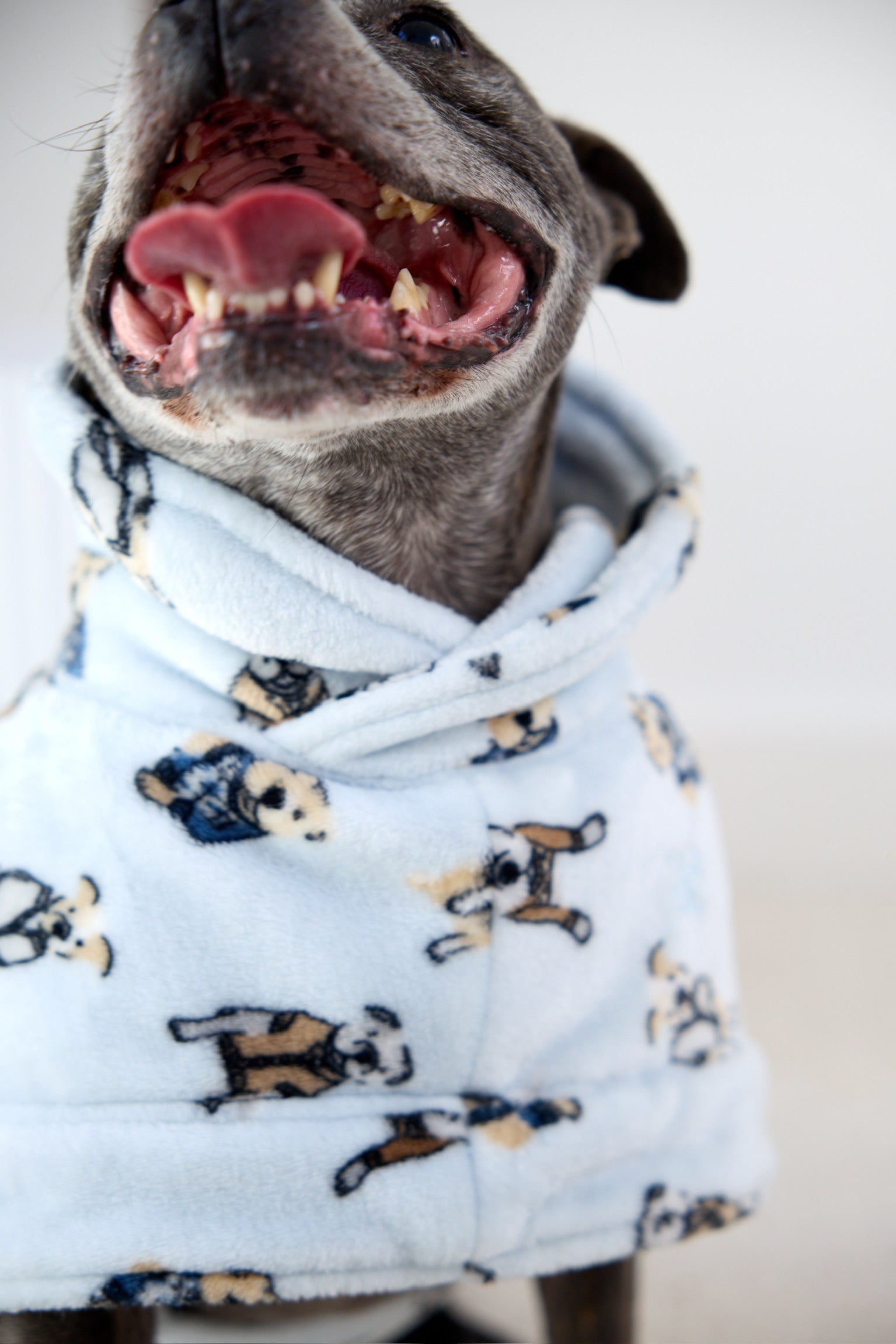 Dog Lounge Robe | Preppy Pups