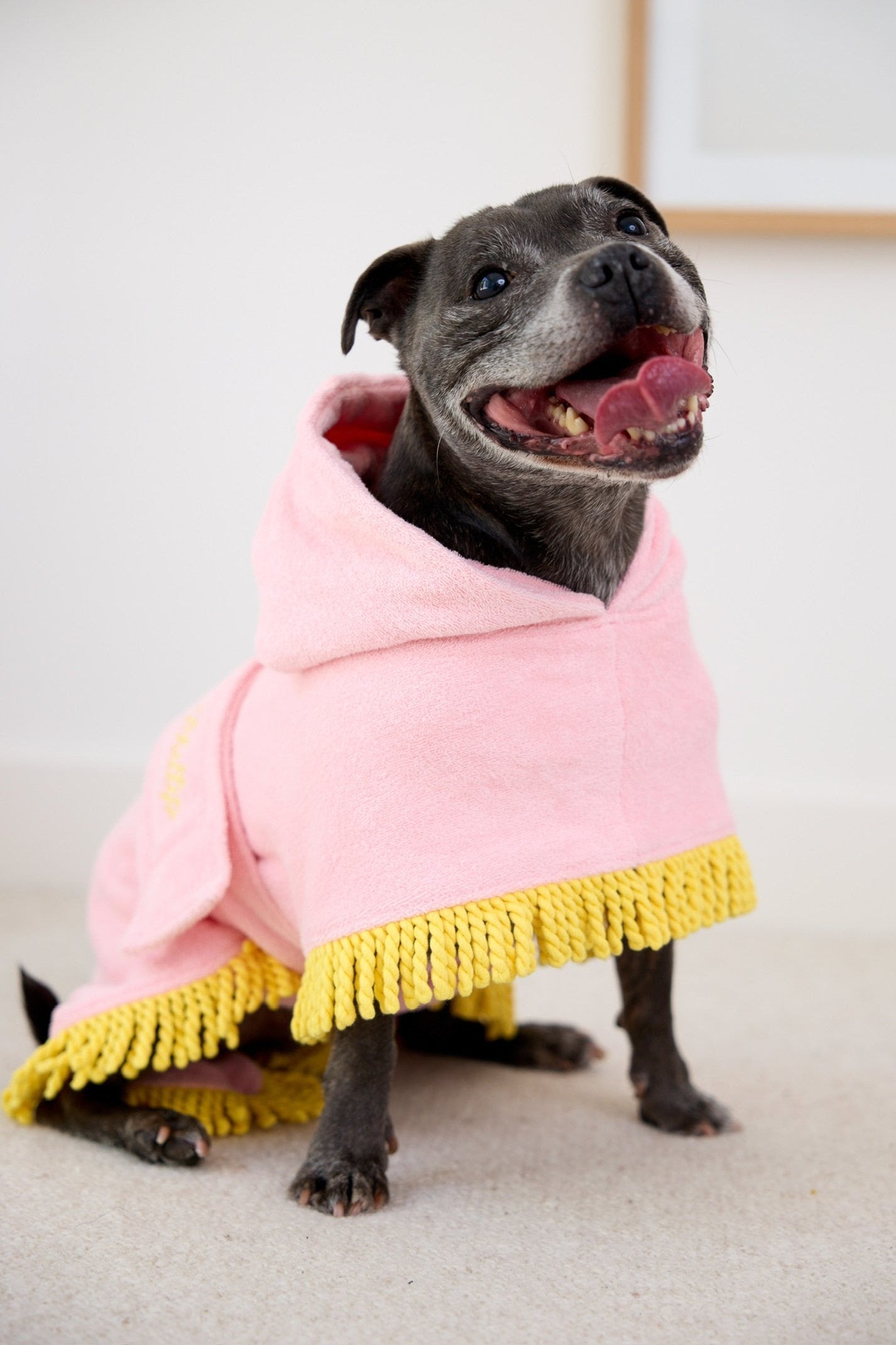 Tassel Towel Dog Robe | Peachy Pink
