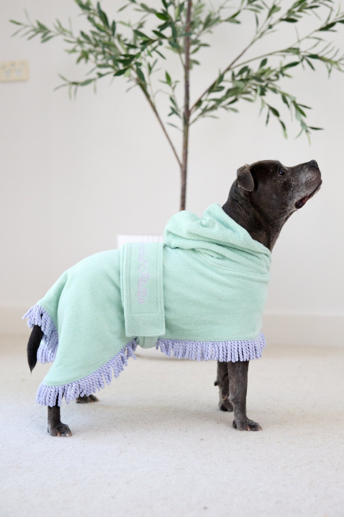 Tassel Towel Dog Robe | Minty Green