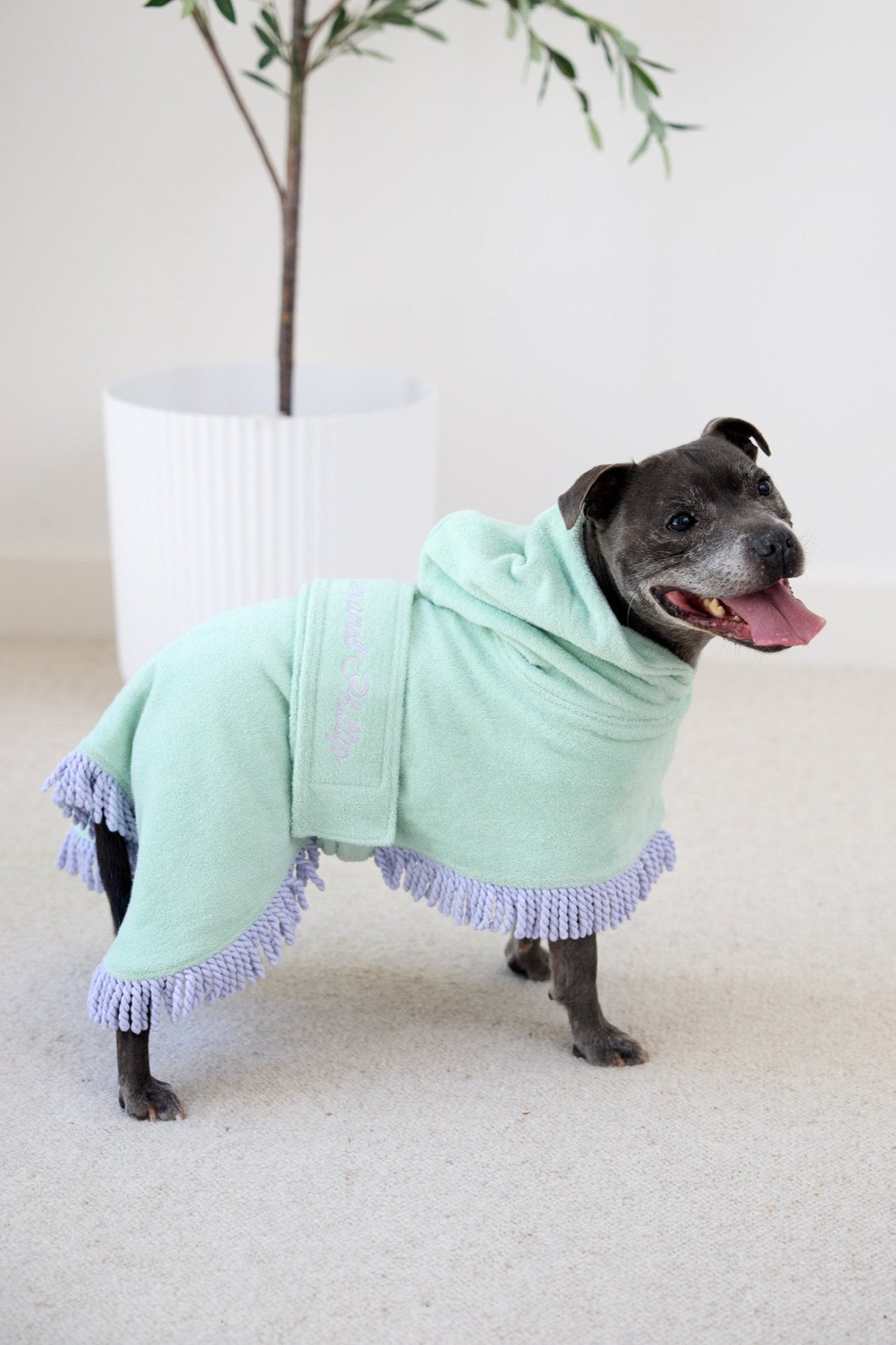 Tassel Towel Dog Robe | Minty Green