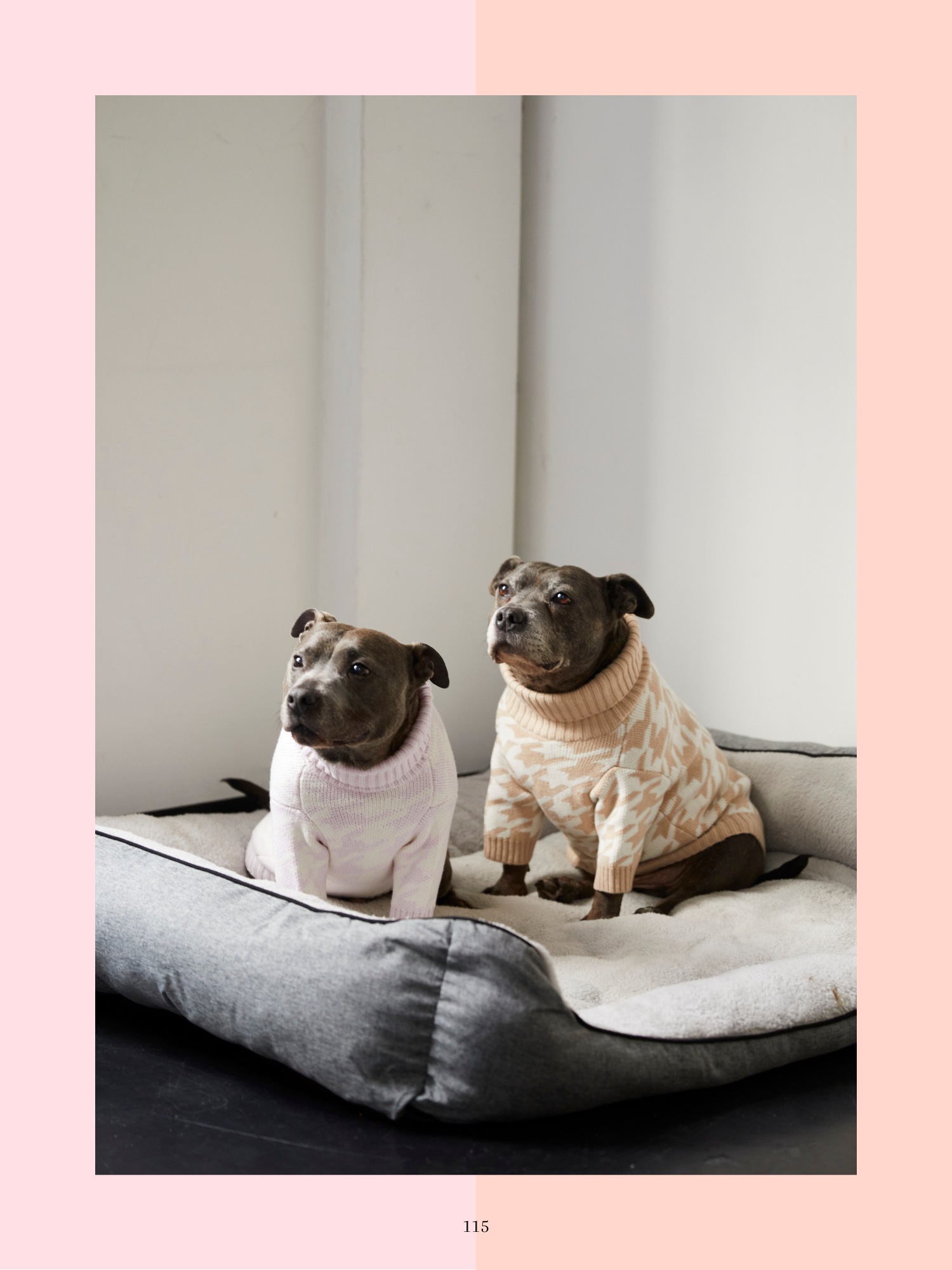 "Tails of Love and Legacy" Hard Cover Book