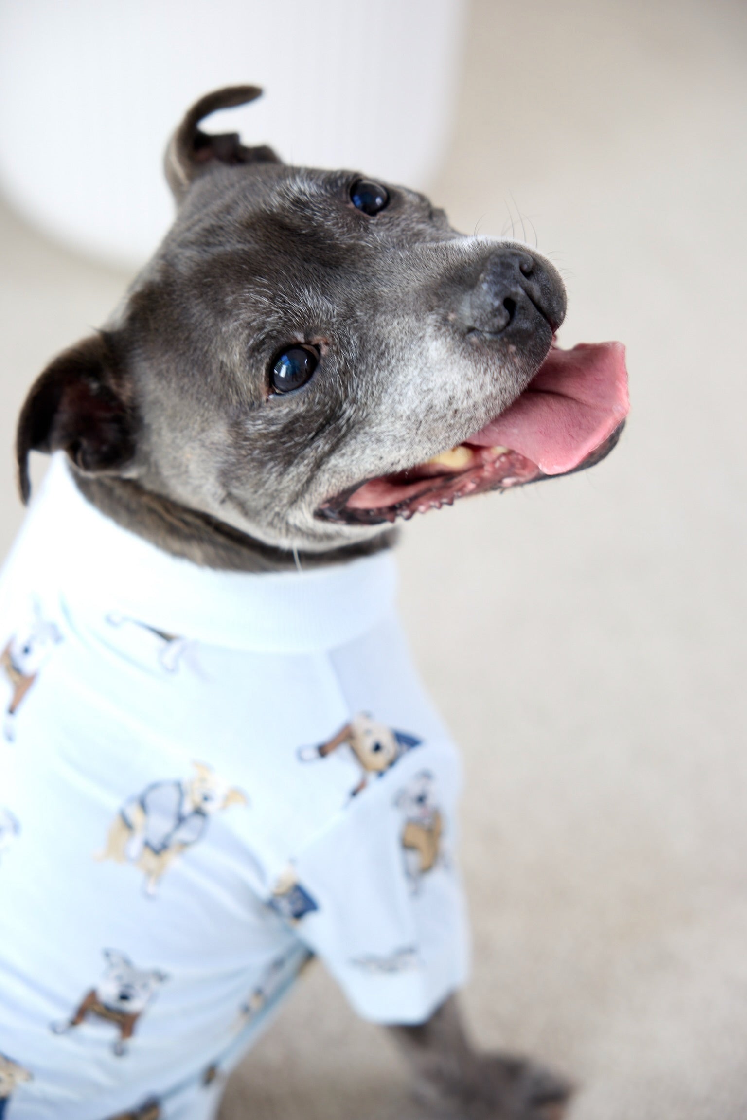 Dog Tee | Preppy Pups