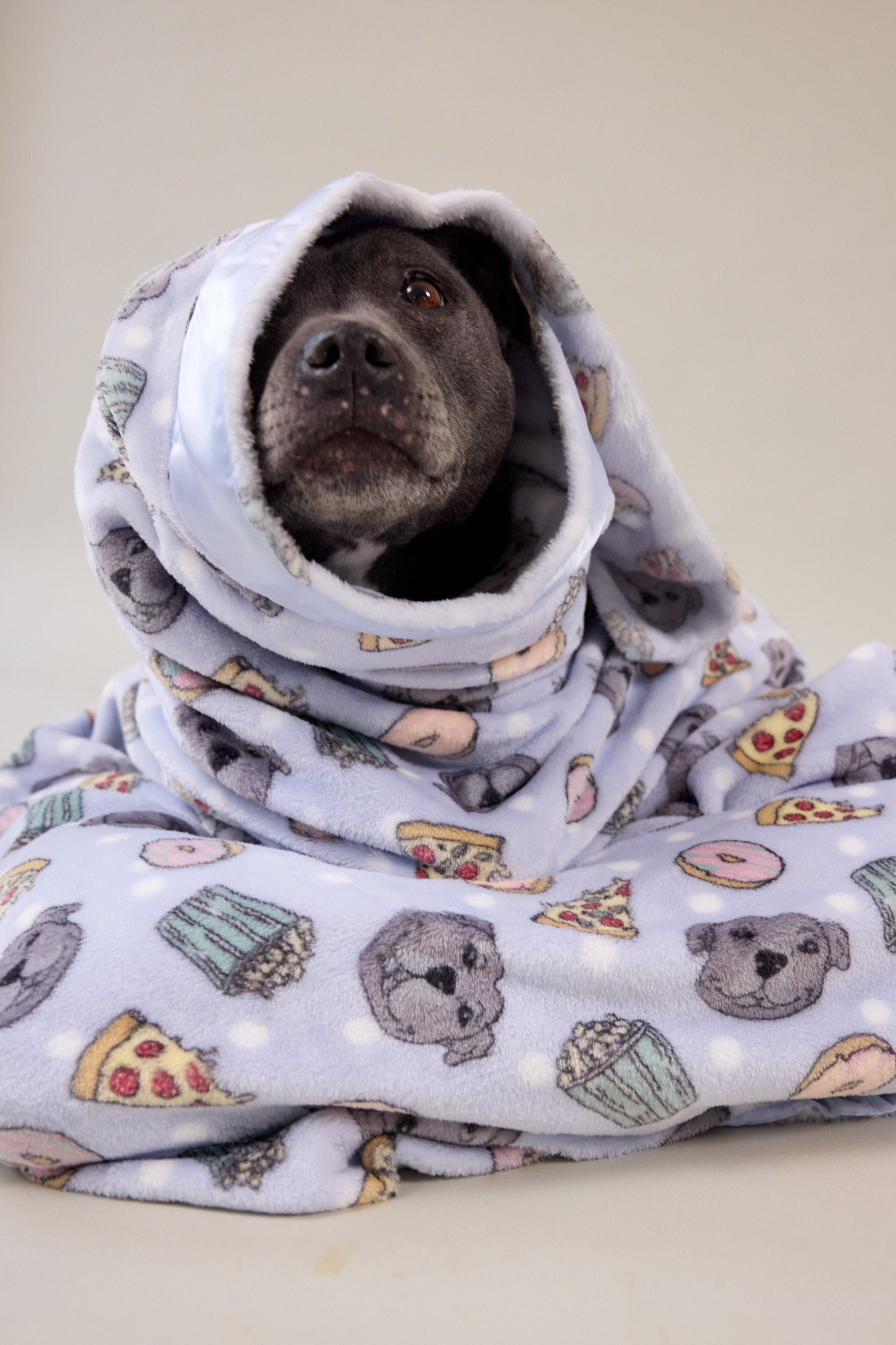Dog Blanket | Philly's Favorite Fings