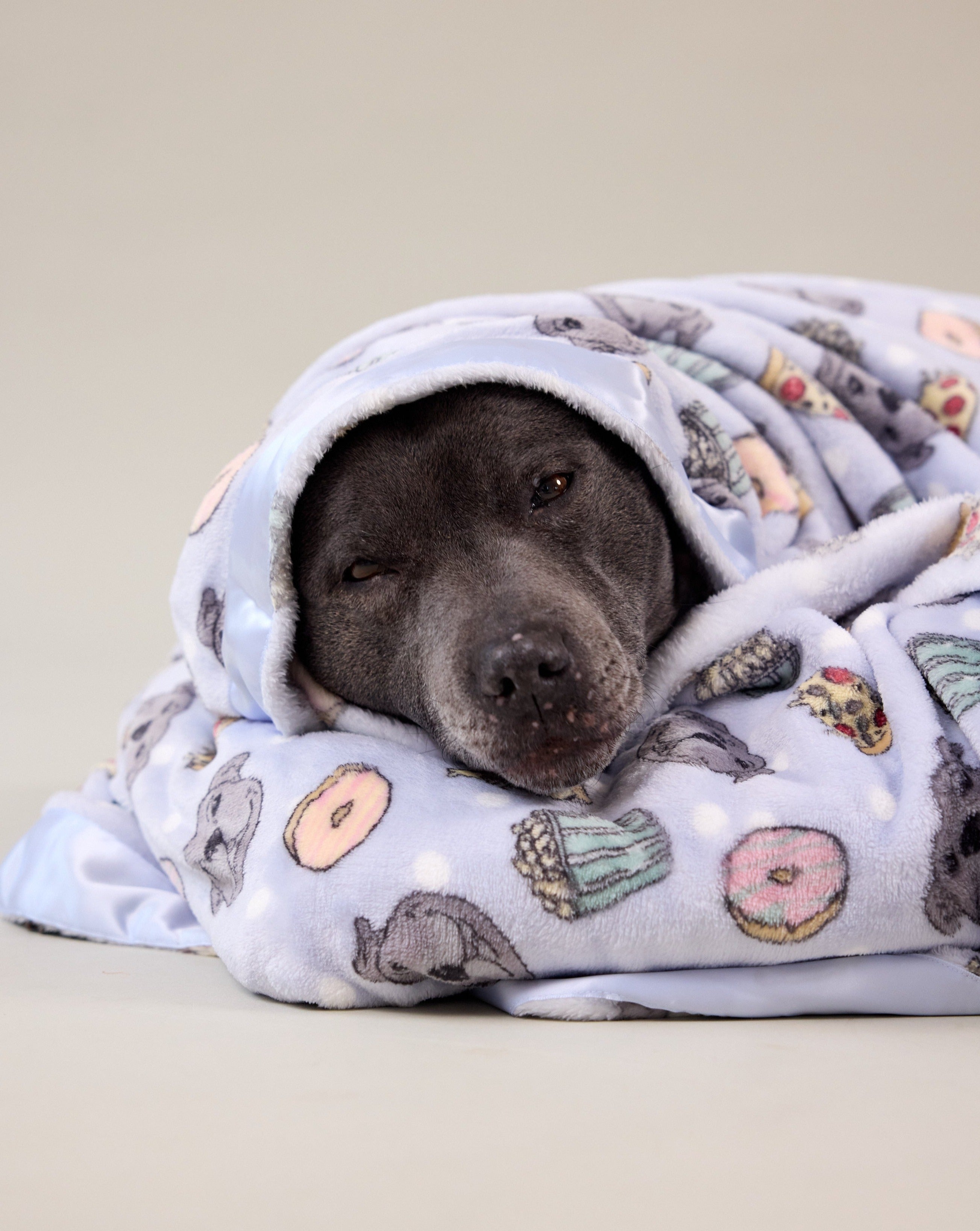 Dog Blanket | Philly's Favorite Fings