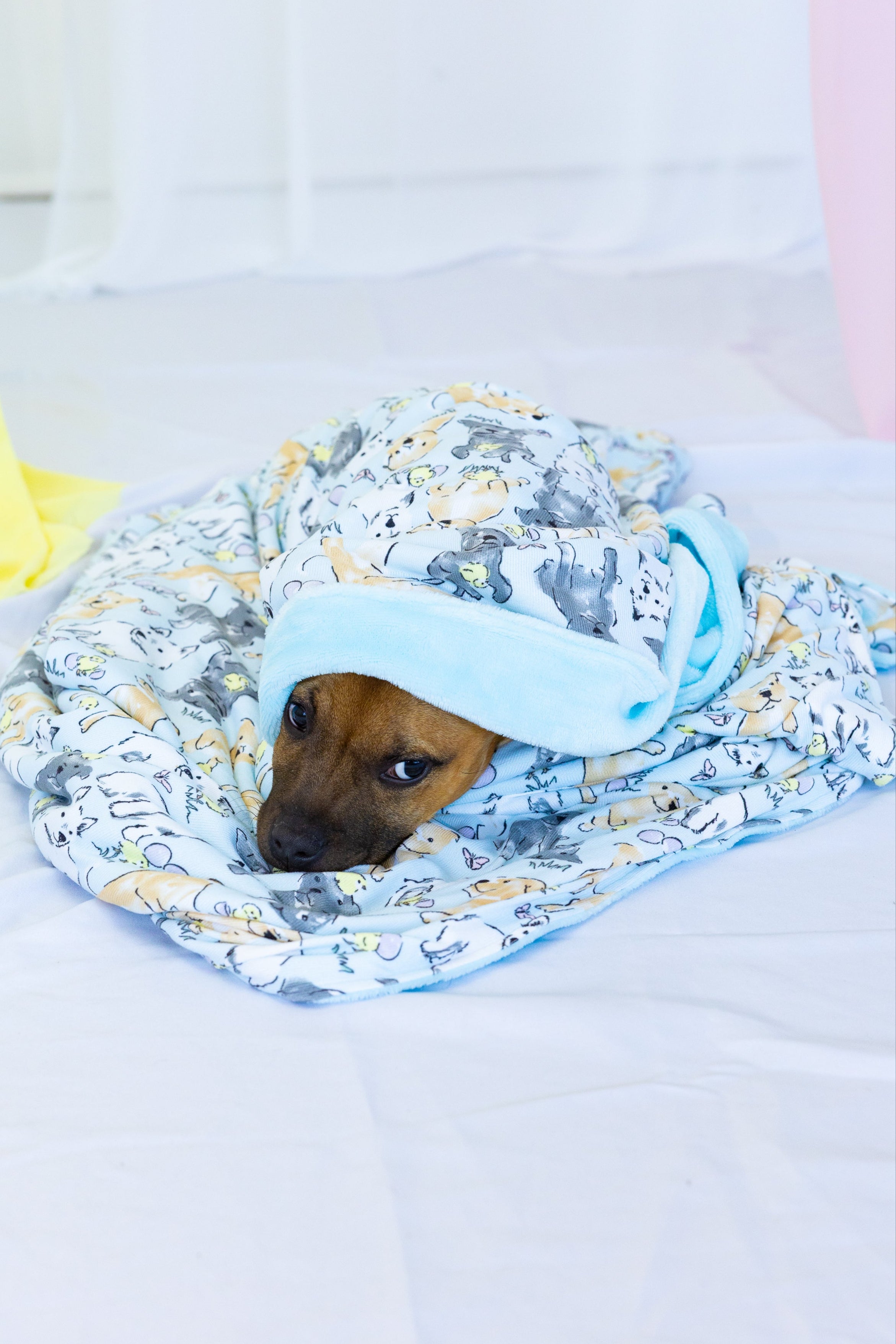 Dog Blanket | Easter Play Date