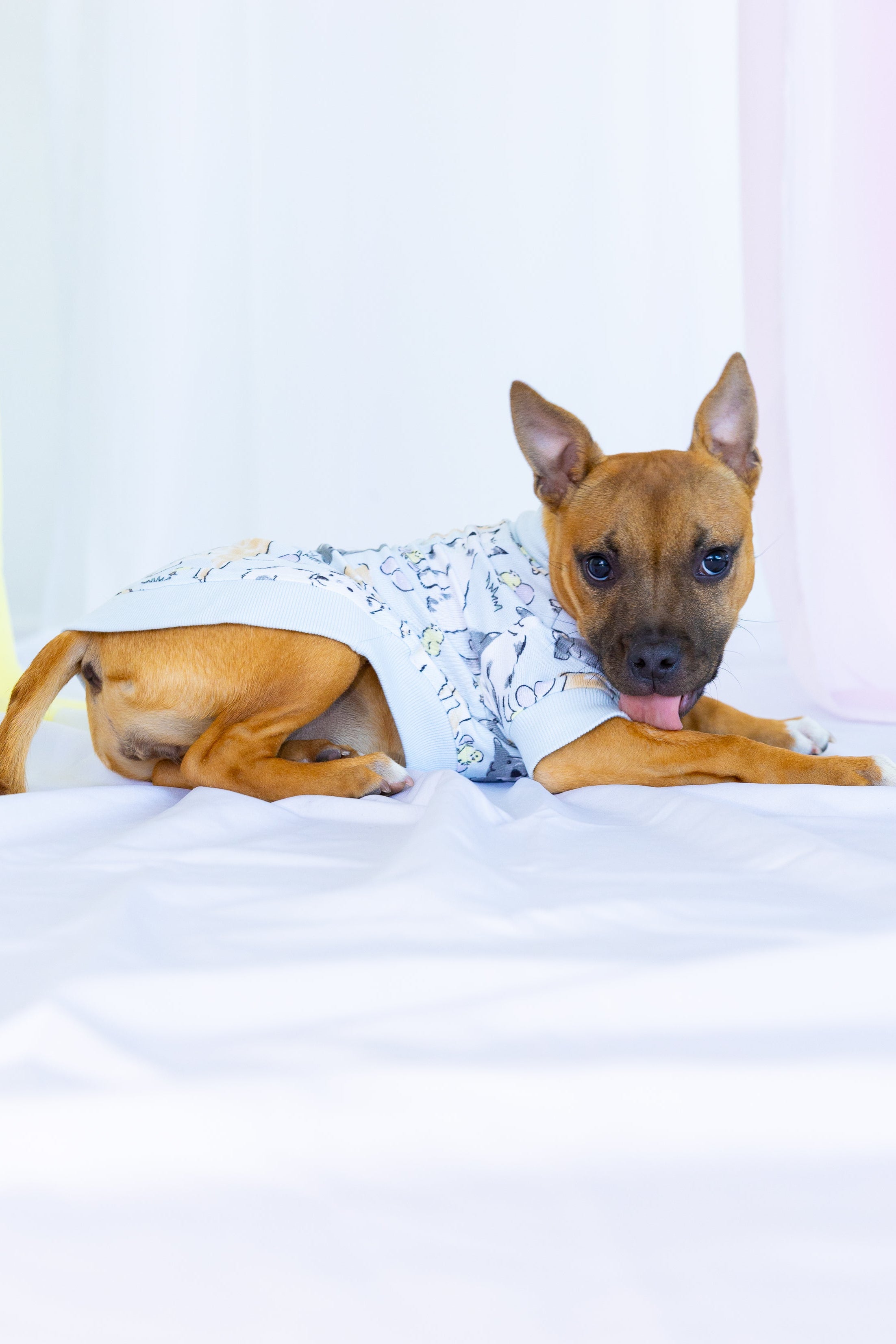 Dog Tee | Easter Play Date