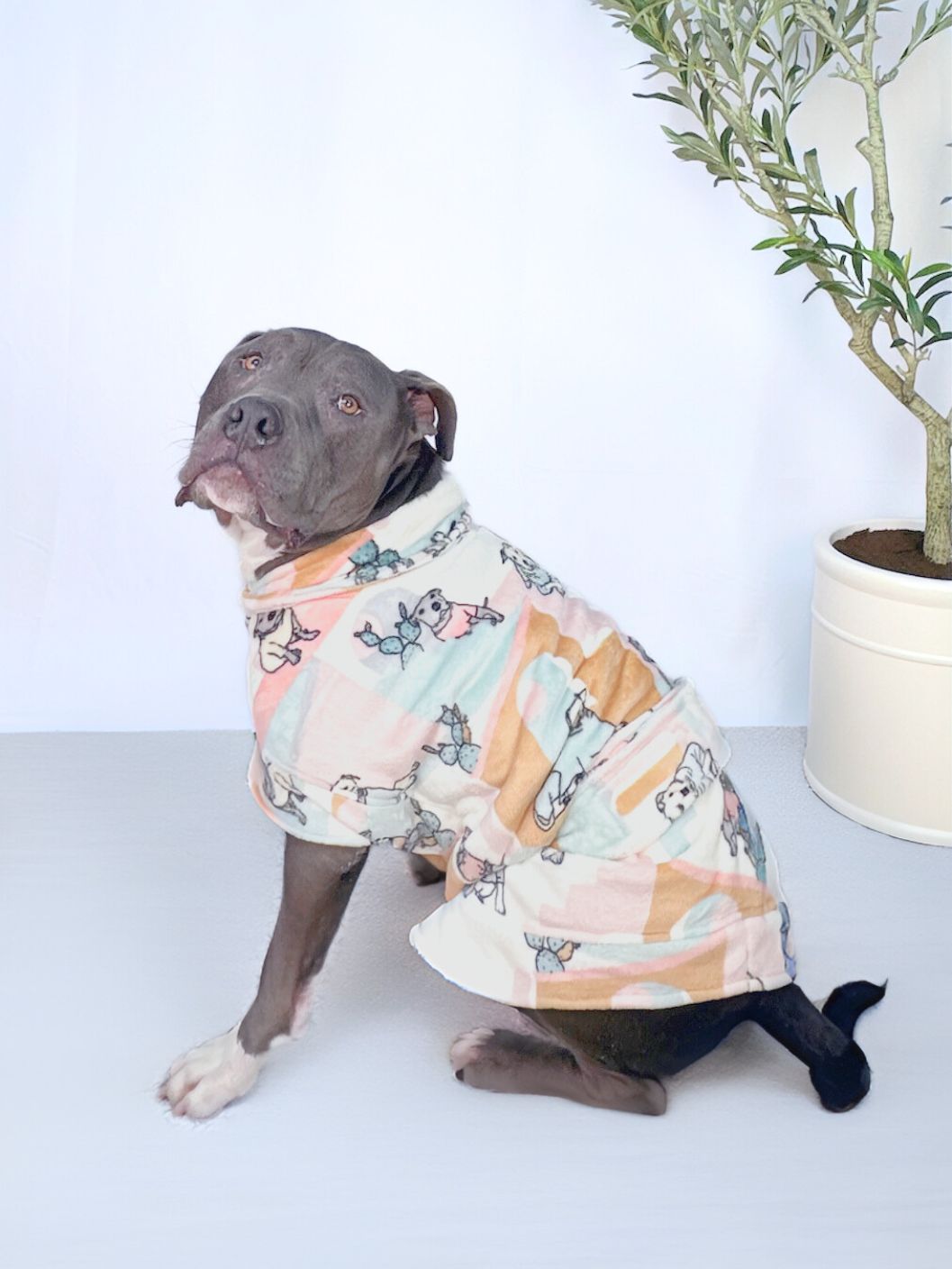 Dog Lounge Robe | Rescue Ranch